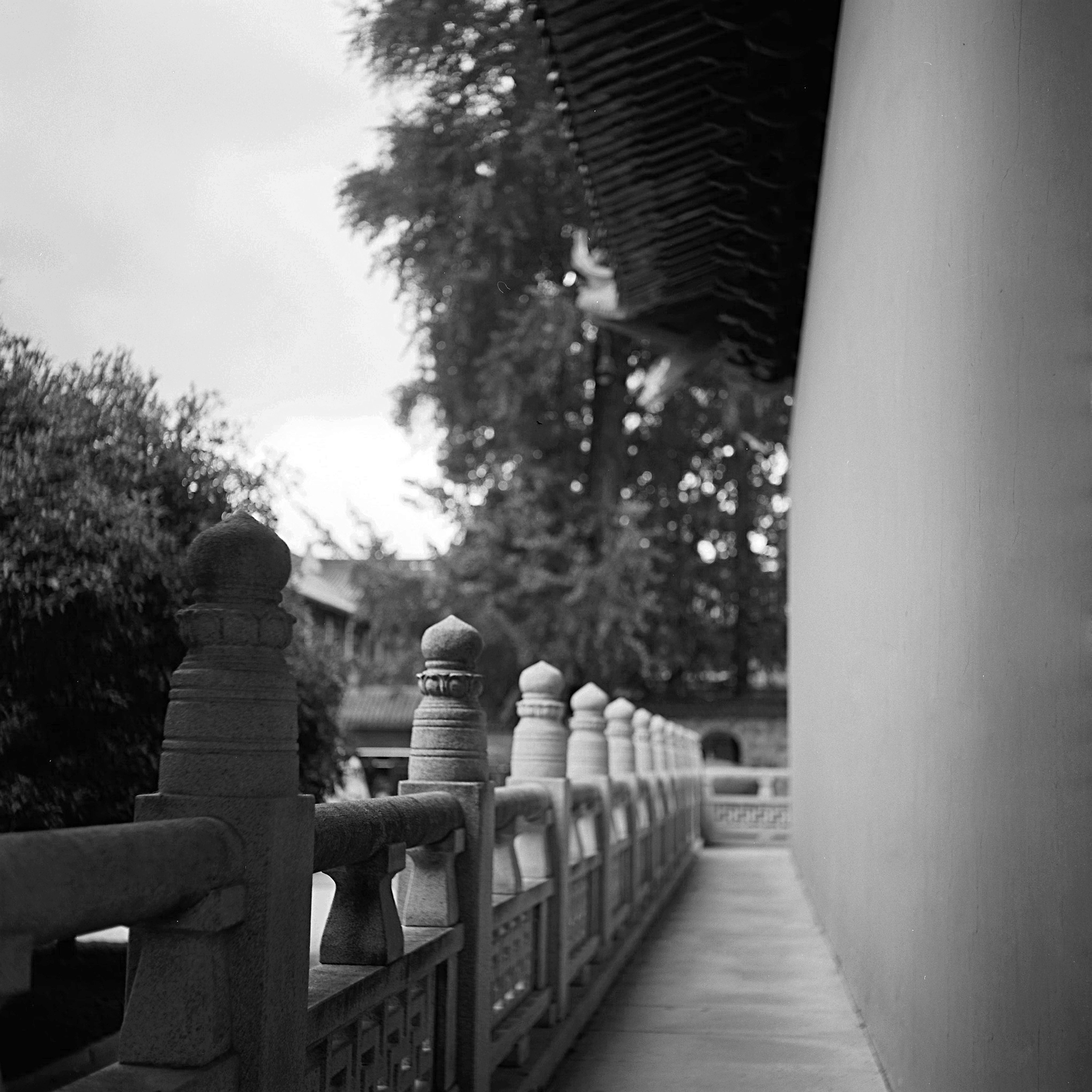 Photo by stephanie1115