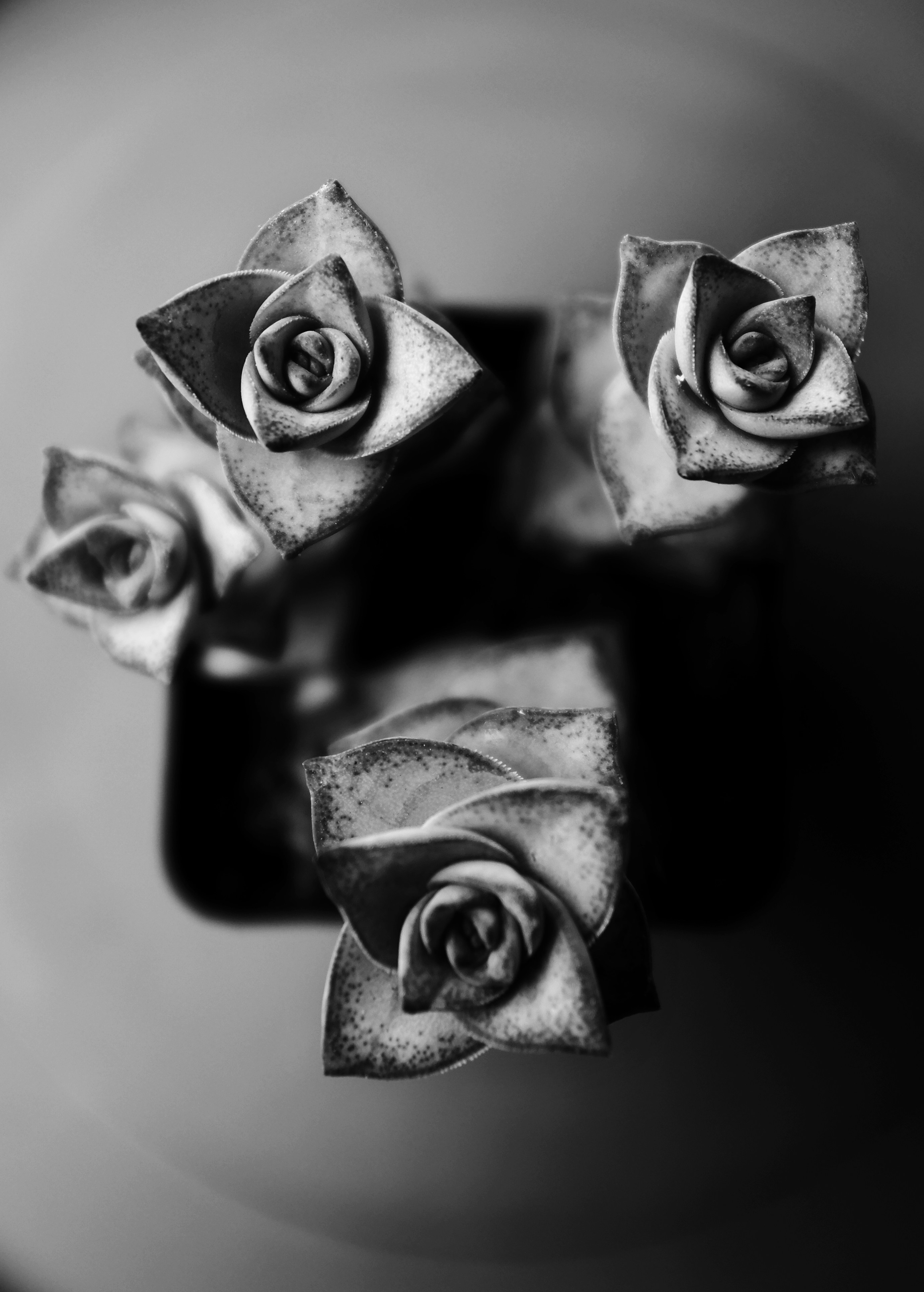 Photo by stephanie1115