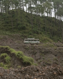 A bus sits on a mountain slope near trees.