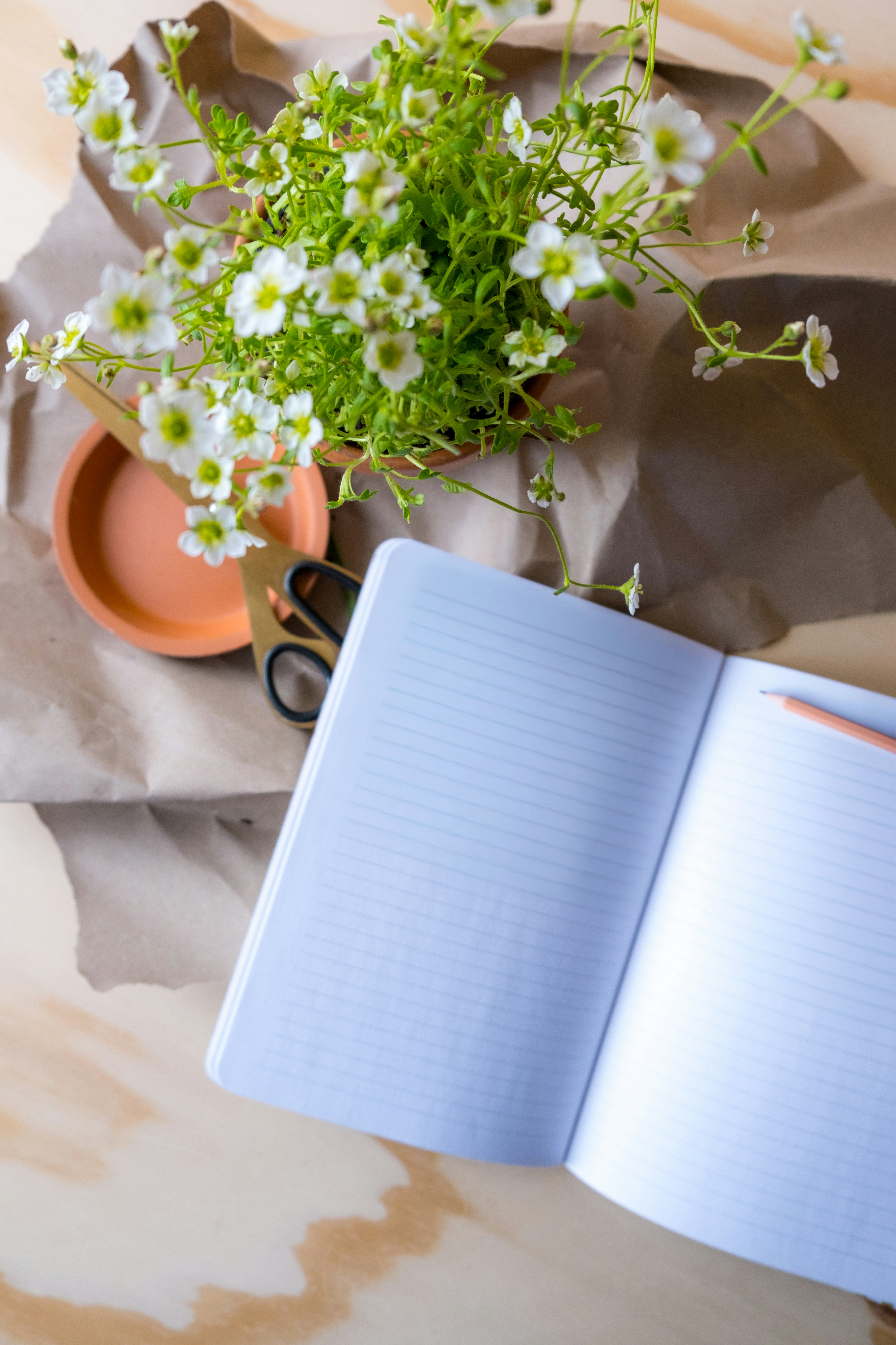 Photo by keilahoetzel