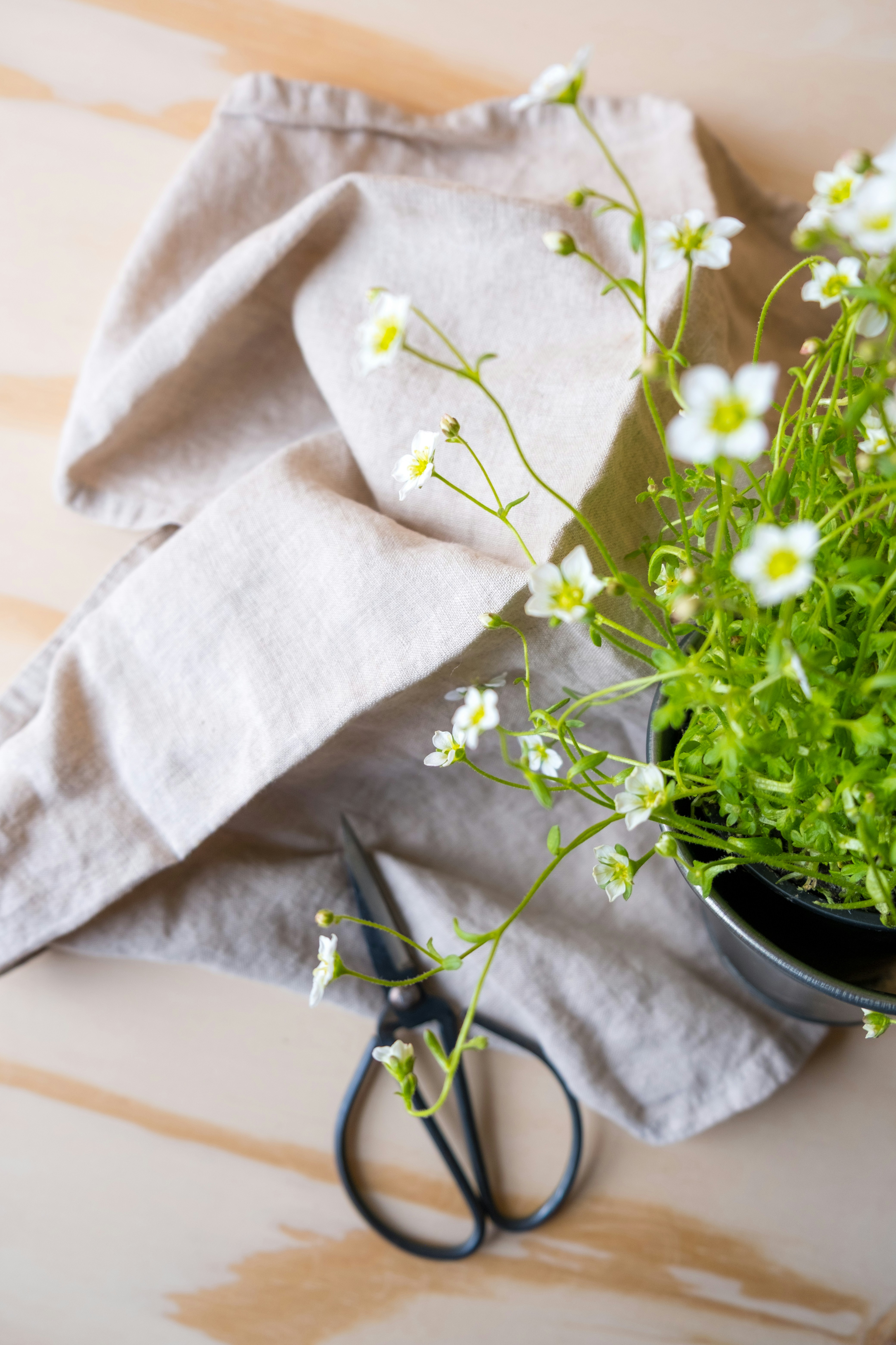 Photo by keilahoetzel