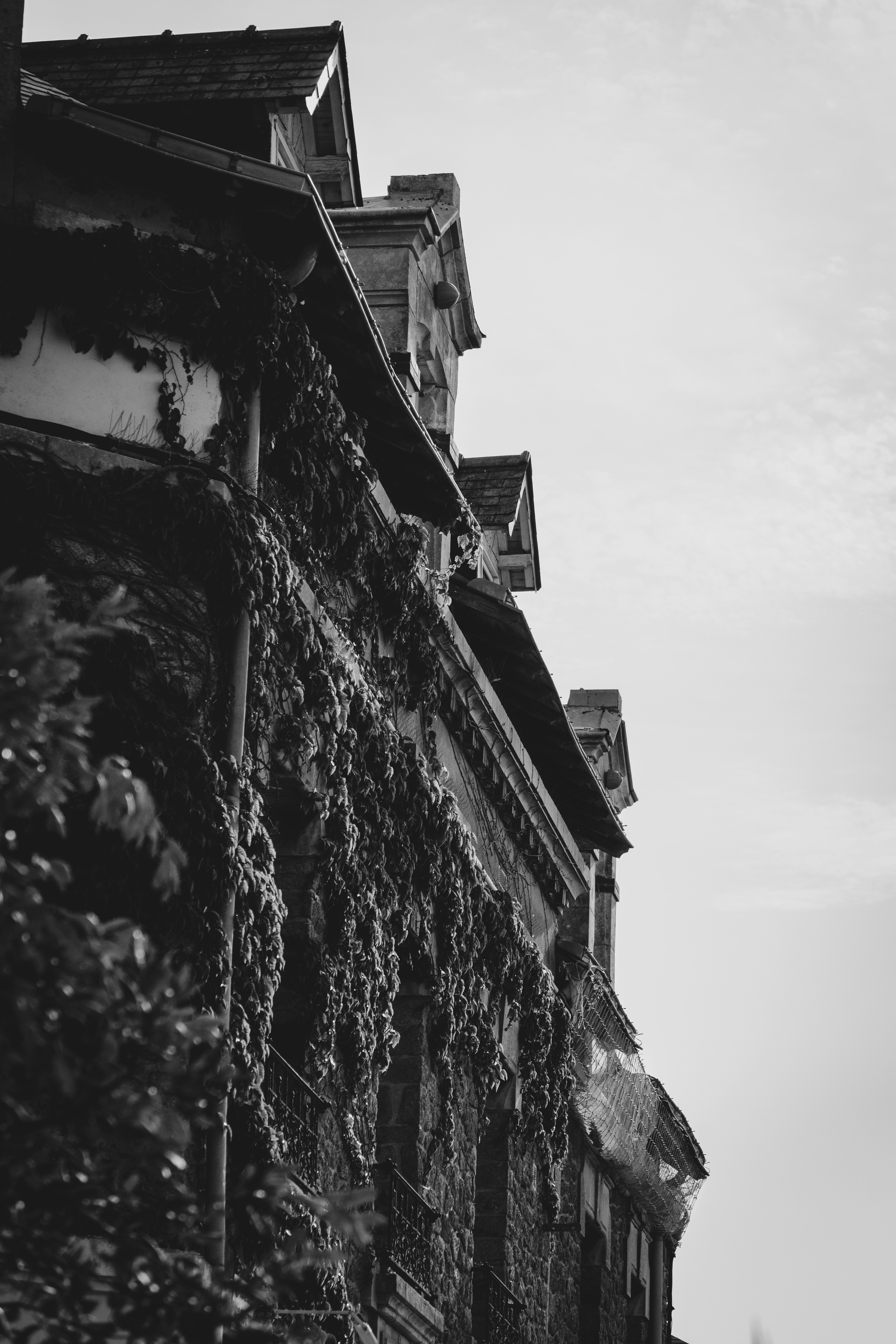 Photo by gustandphotography