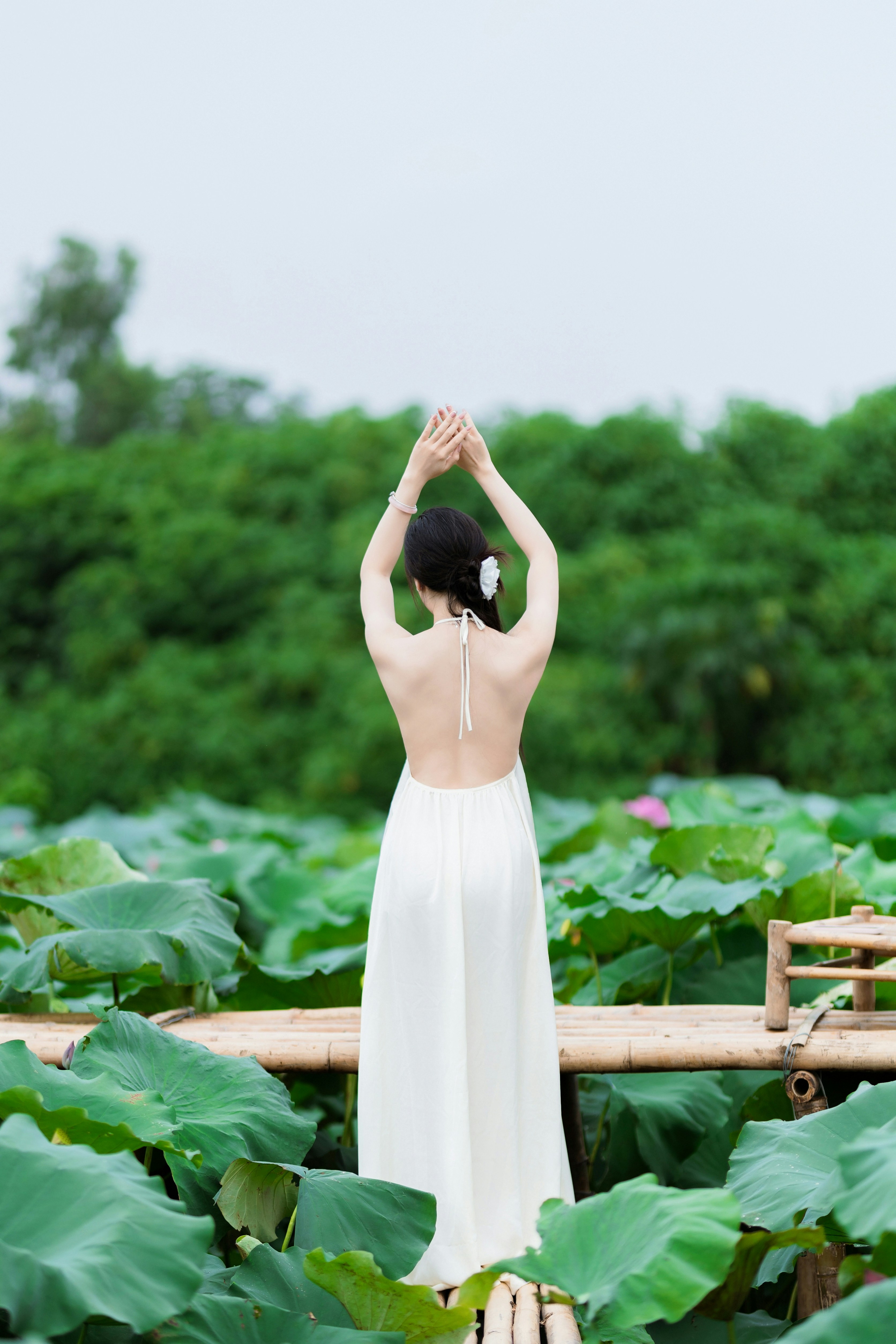 Photo by hieuanhcauam