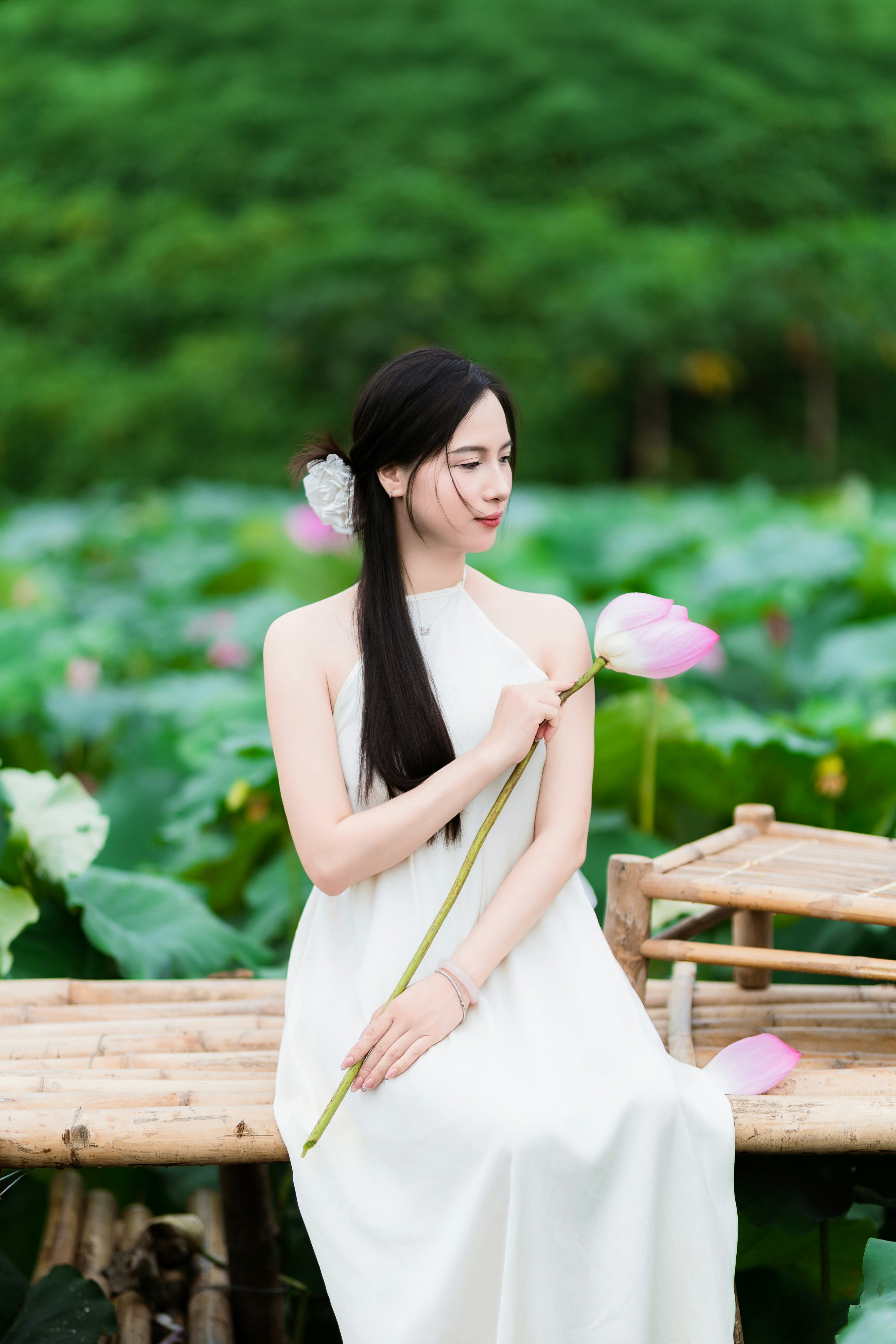 Photo by hieuanhcauam