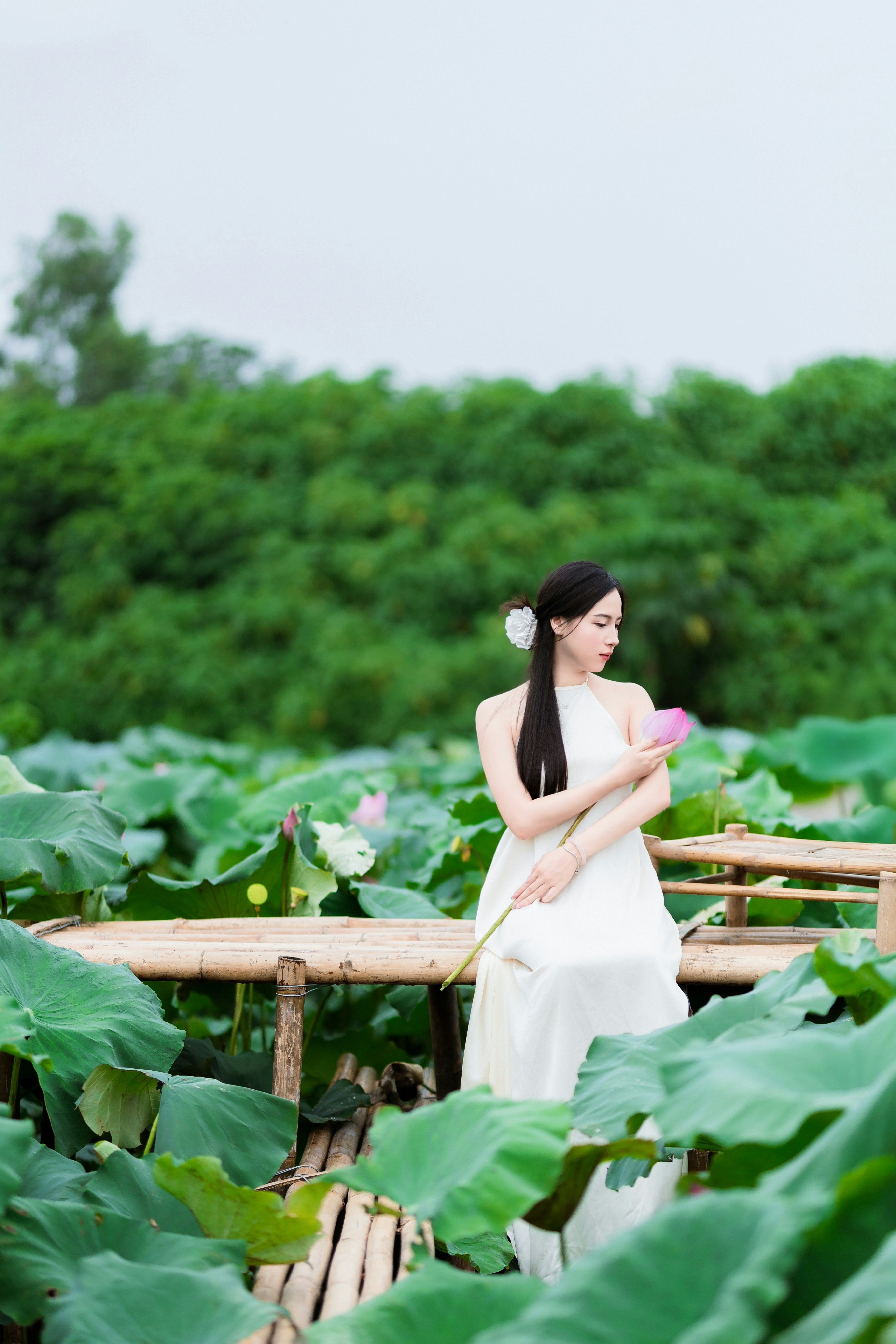 Photo by hieuanhcauam