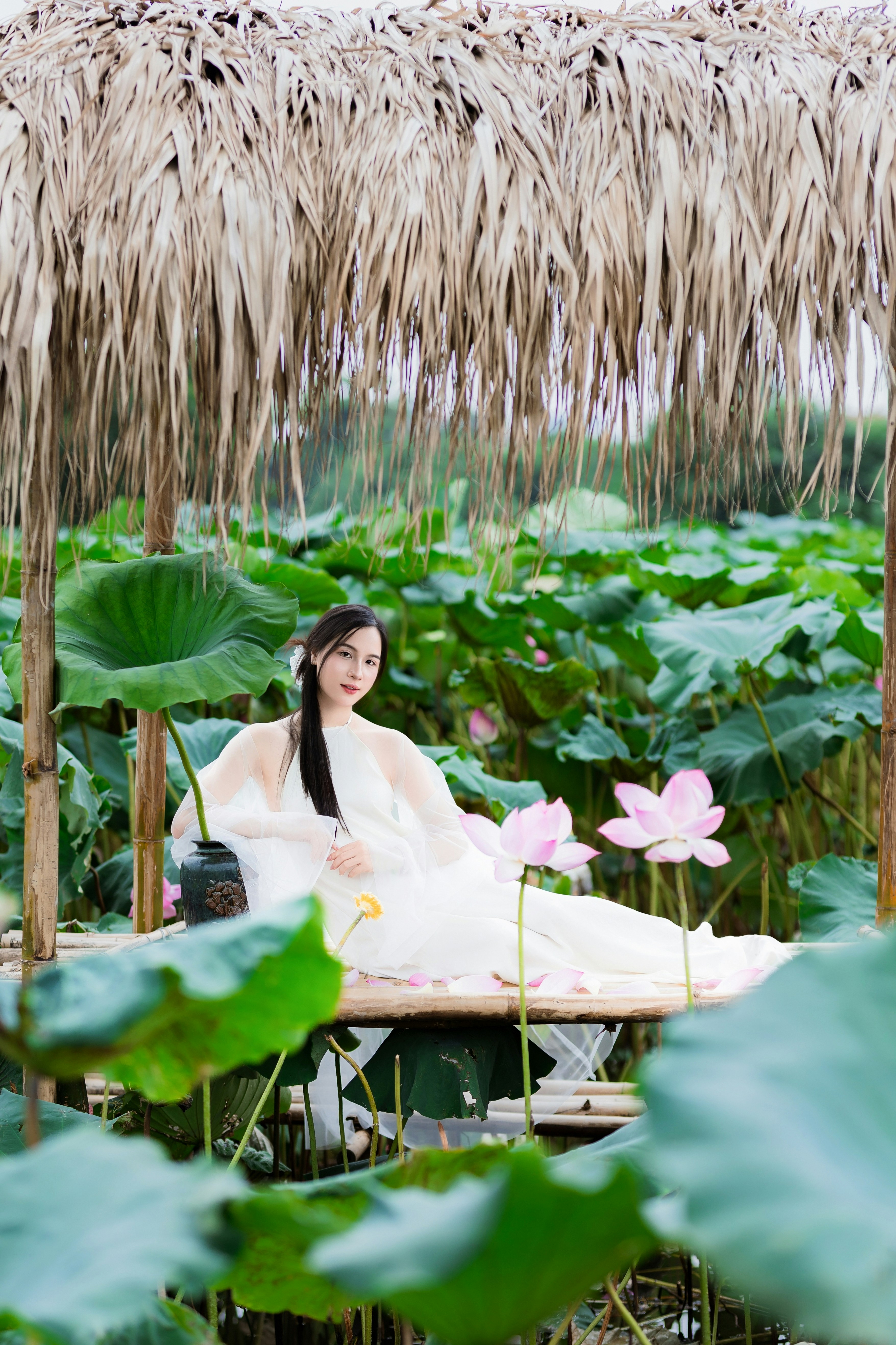 Photo by hieuanhcauam