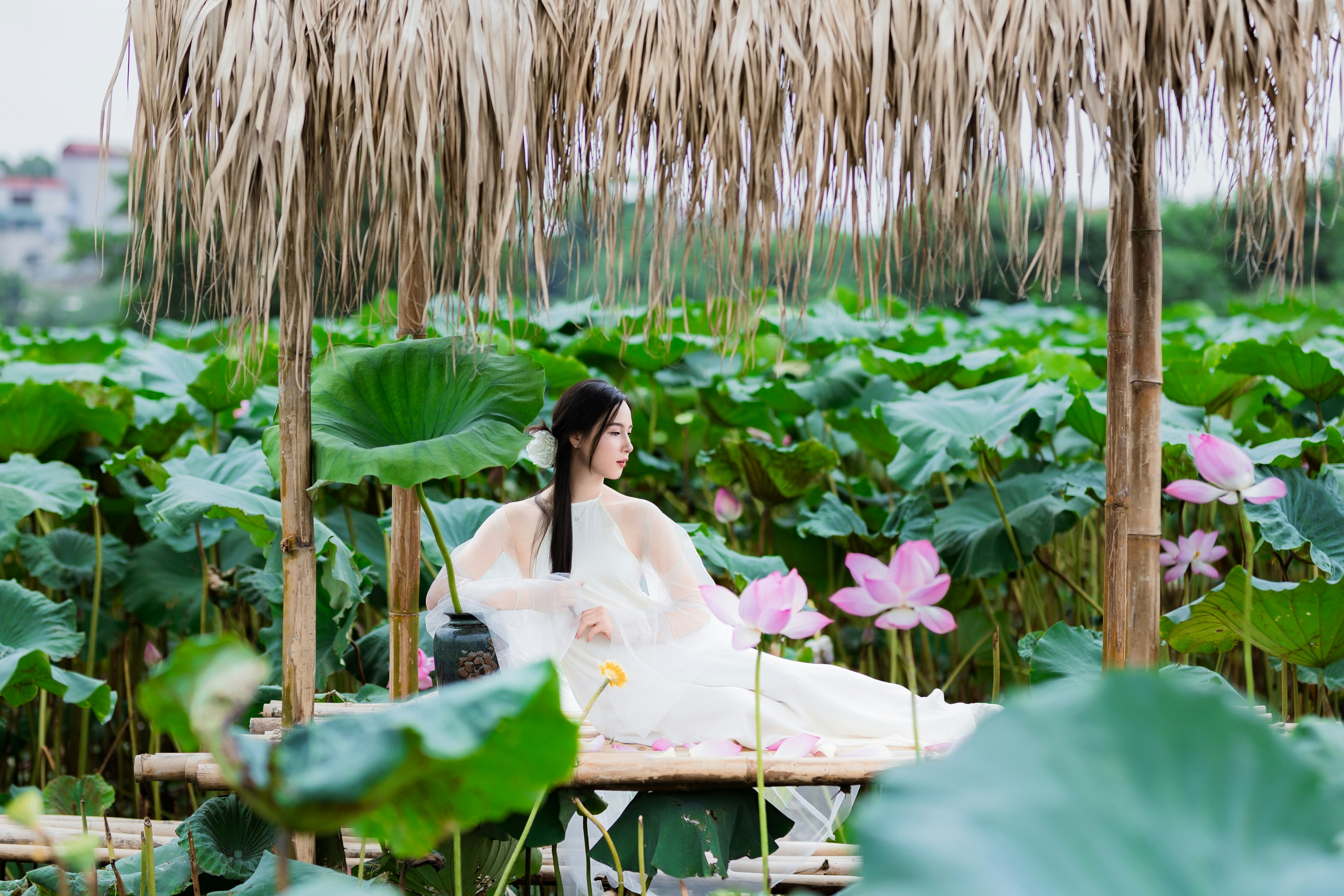 Photo by hieuanhcauam