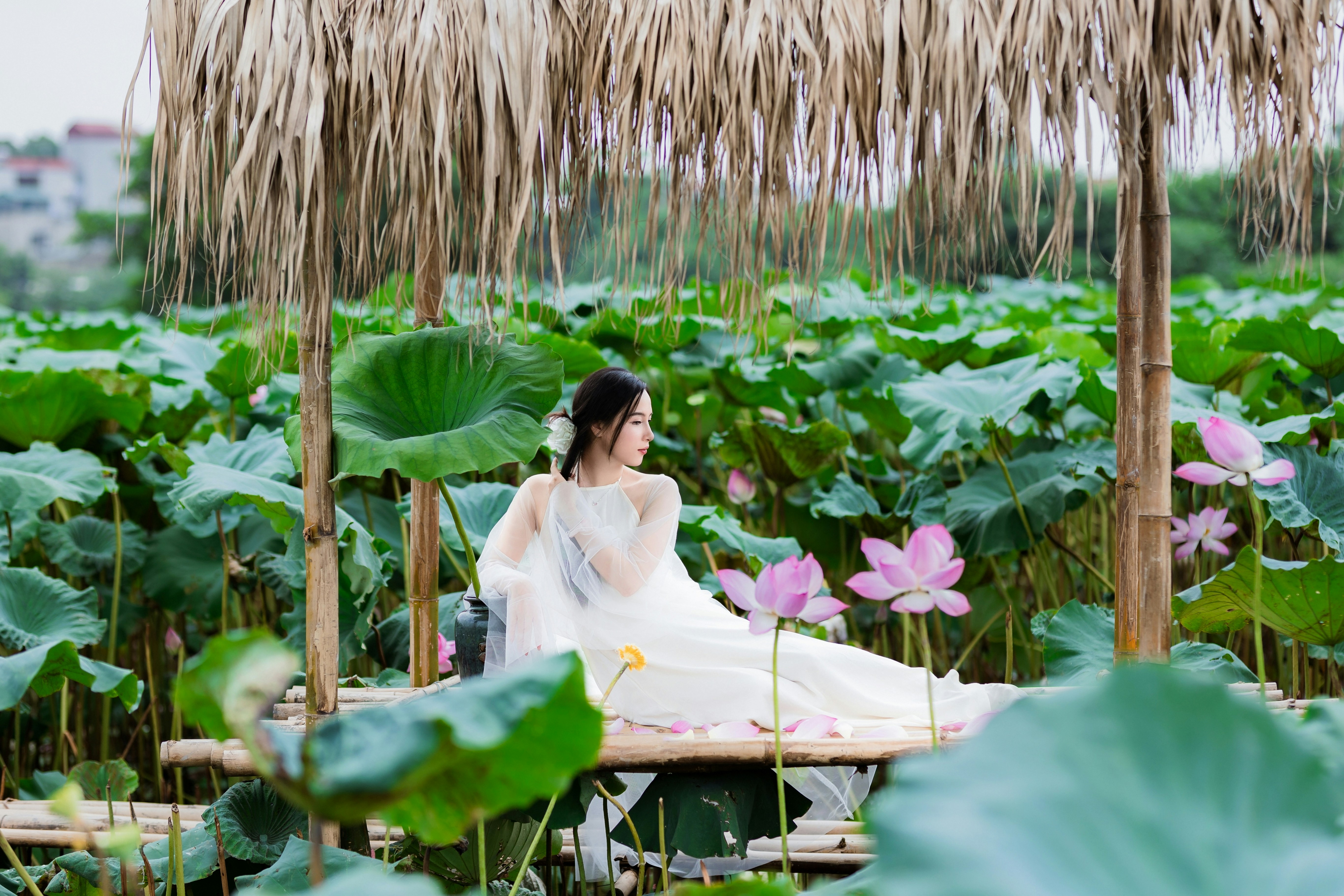 Photo by hieuanhcauam