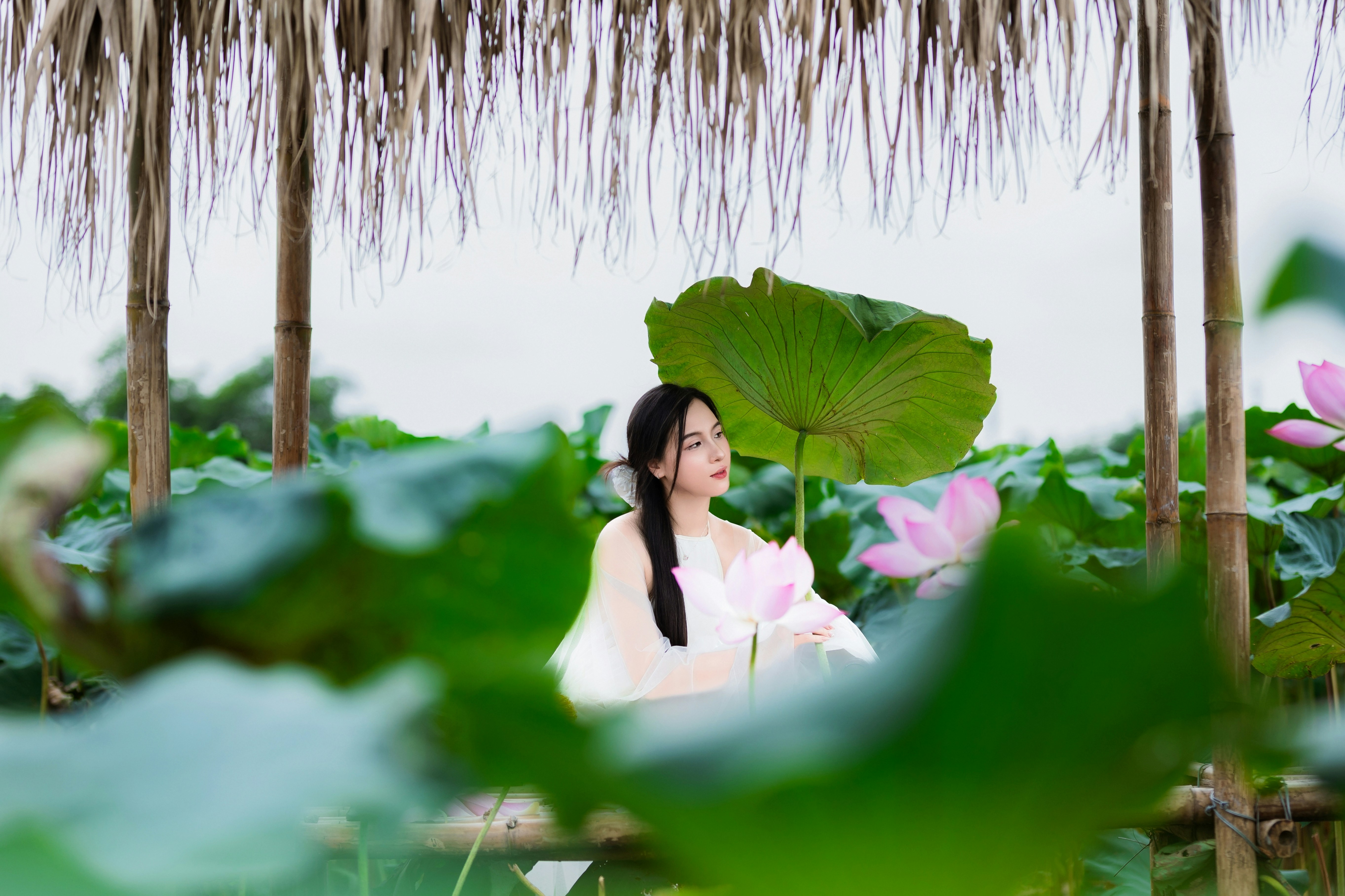 Photo by hieuanhcauam