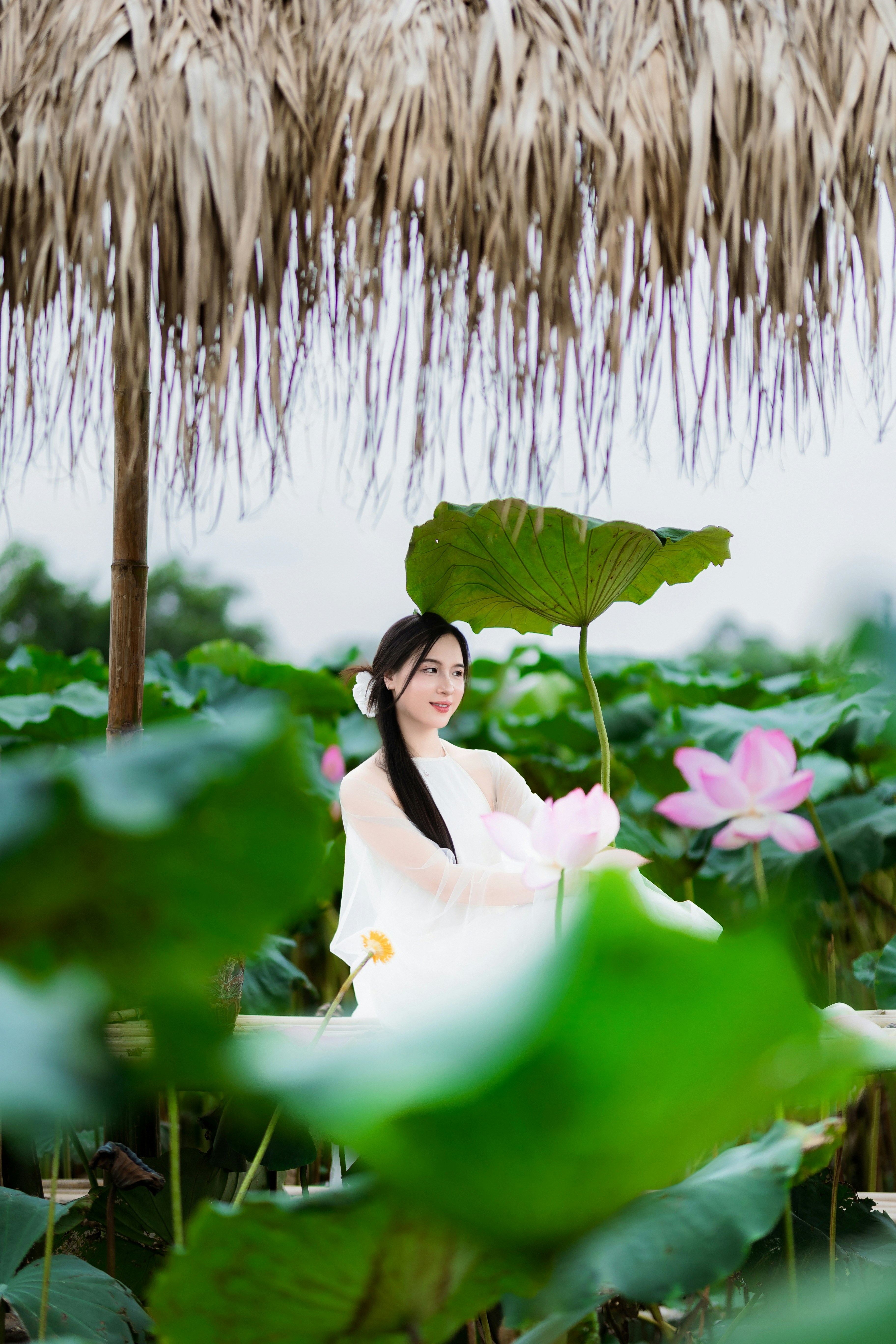 Photo by hieuanhcauam