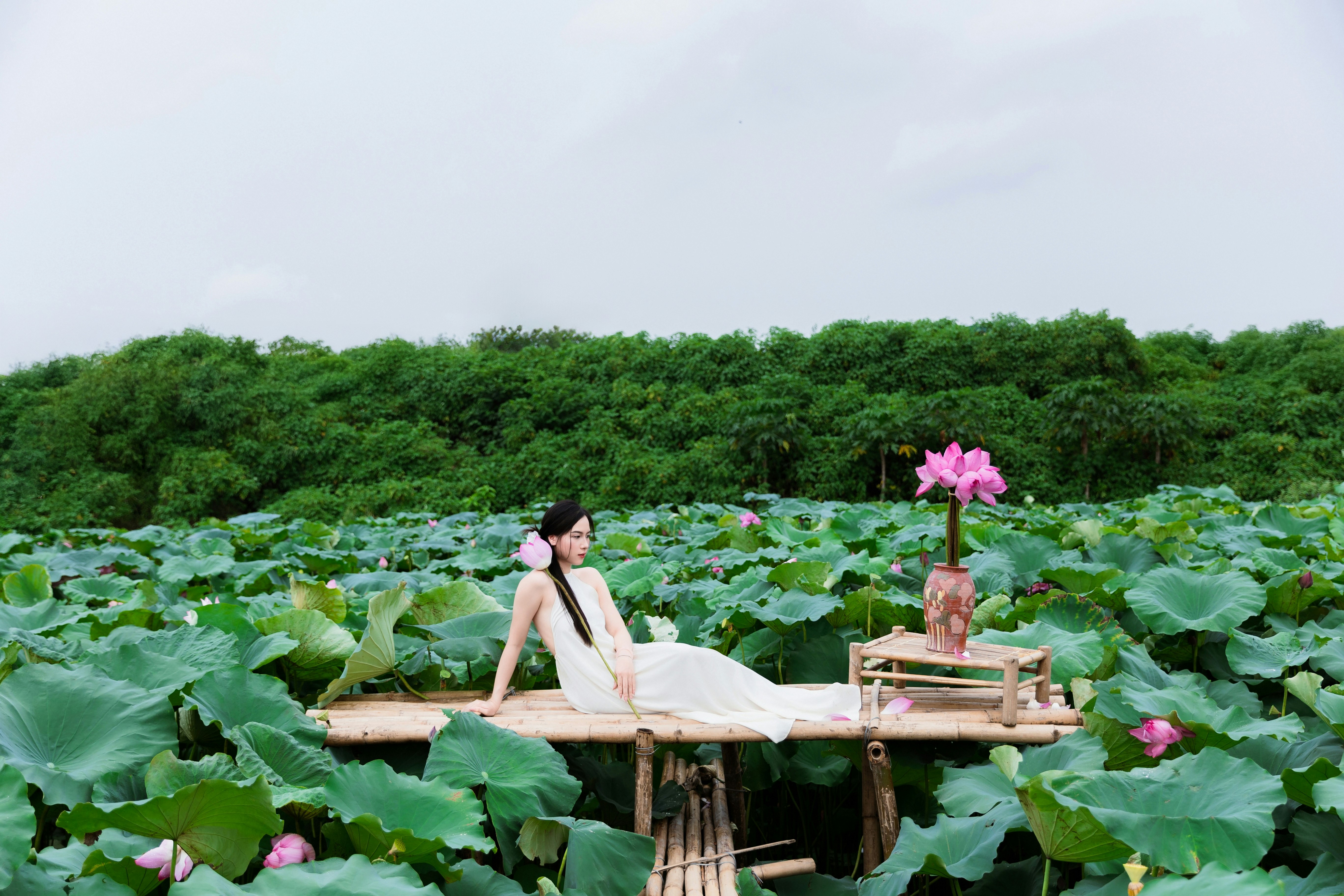 Photo by hieuanhcauam