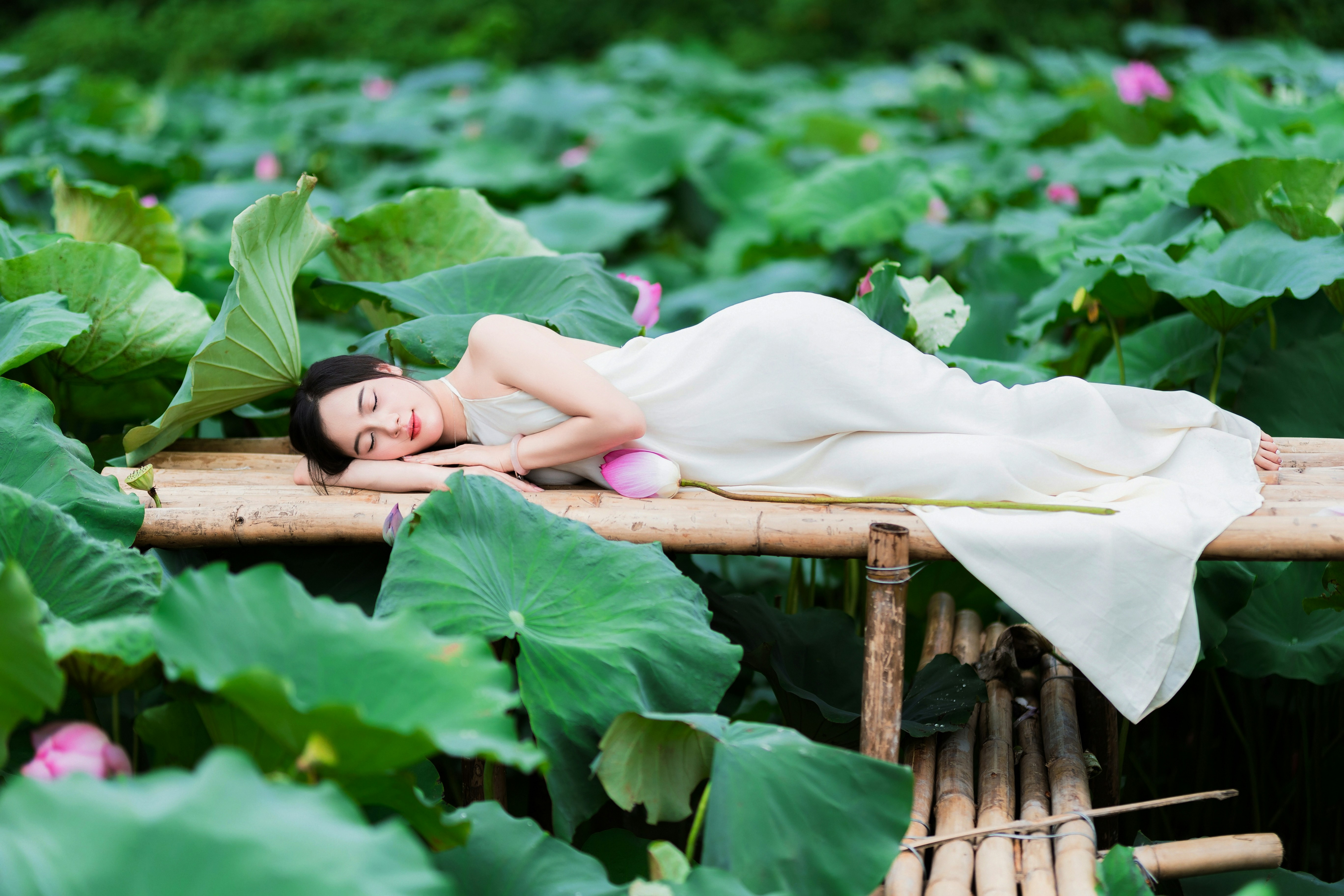 Photo by hieuanhcauam