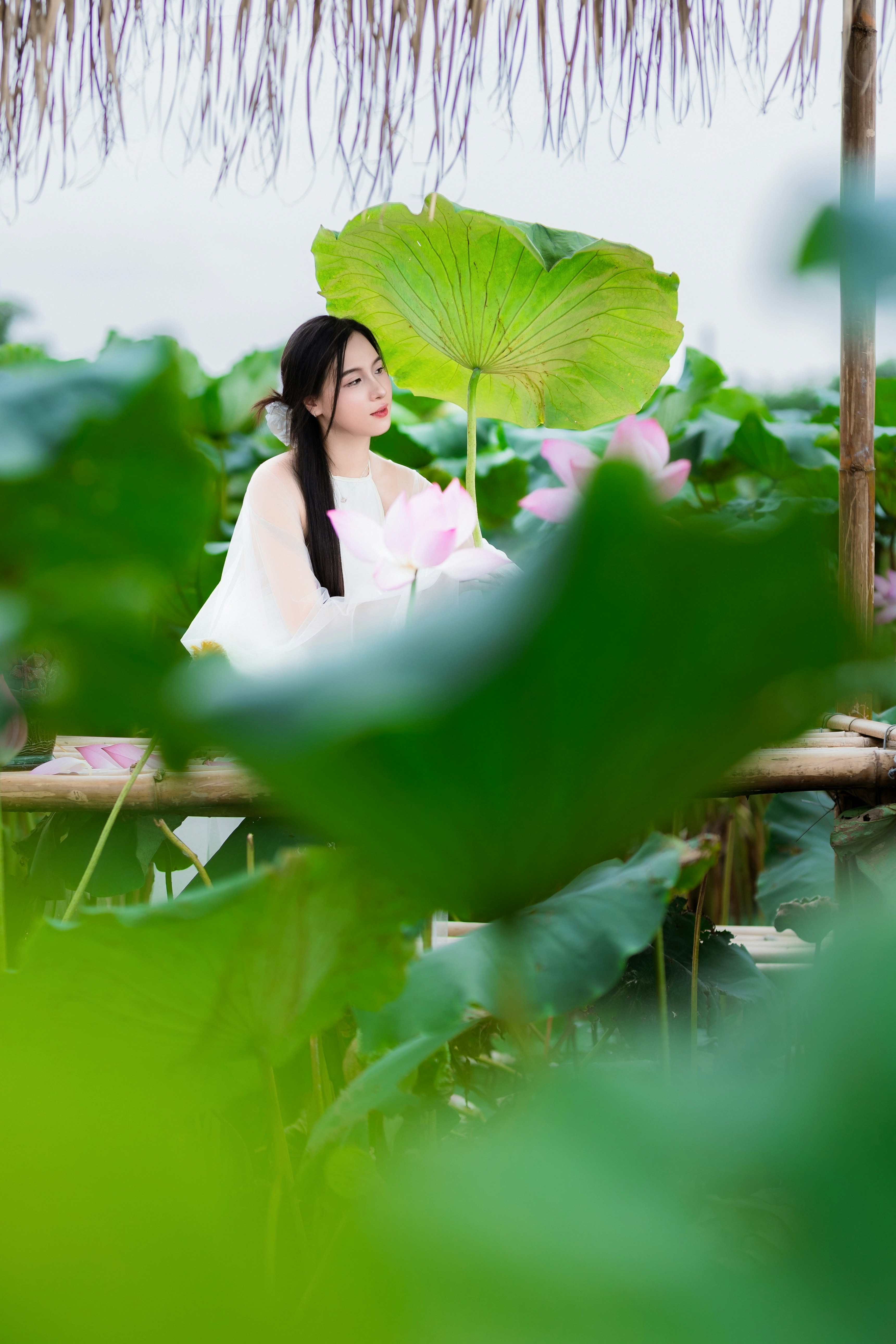 Photo by hieuanhcauam