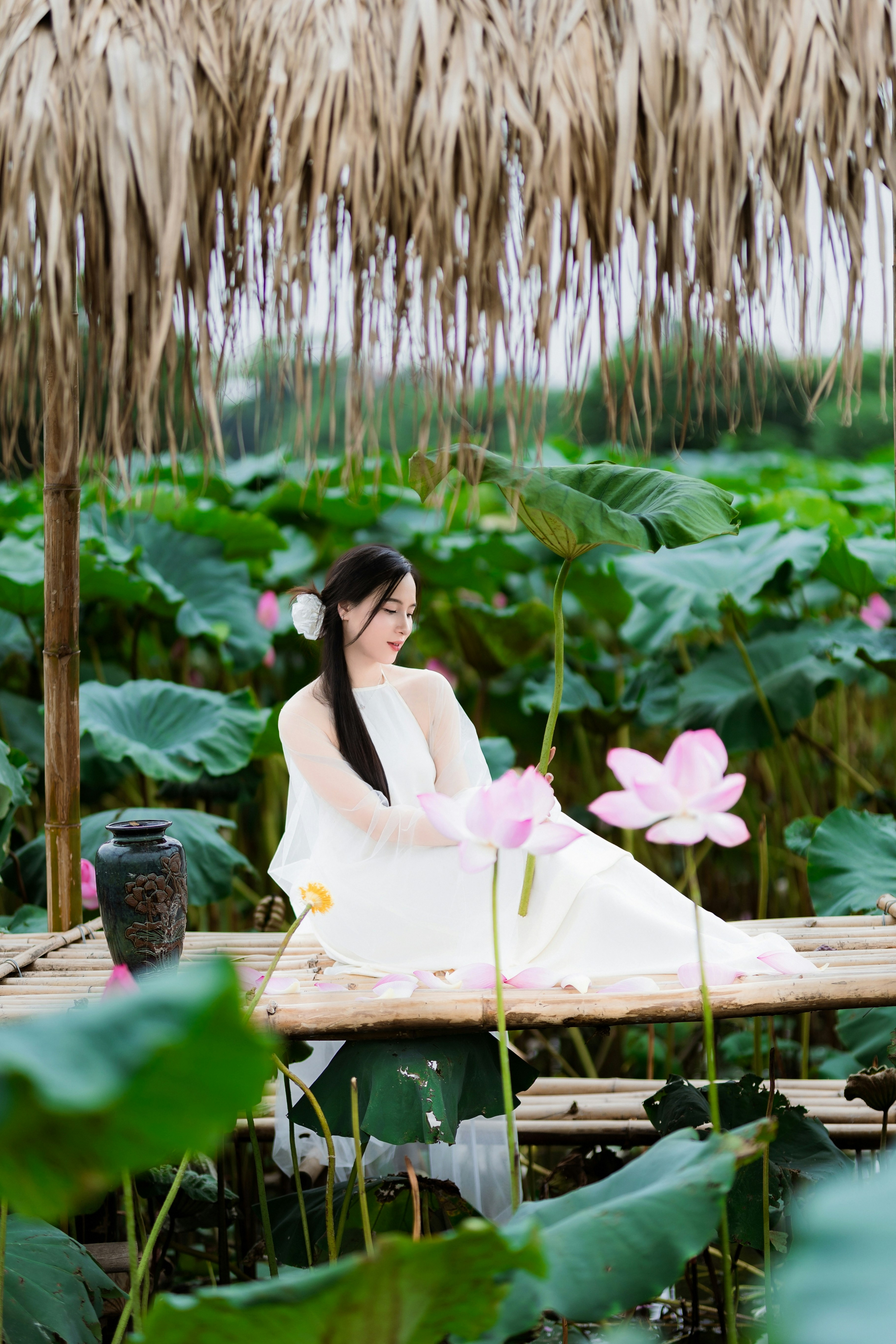 Photo by hieuanhcauam