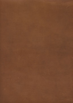 A plain, brown surface fills the image.