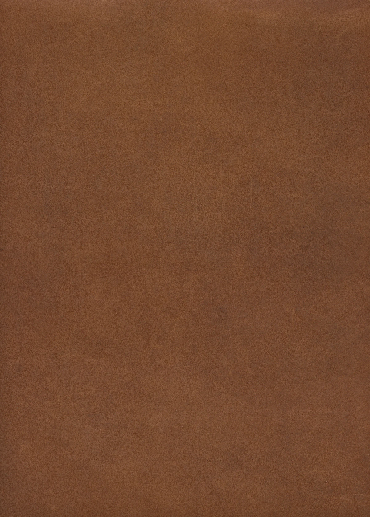Plain chocolate-brown leather surface