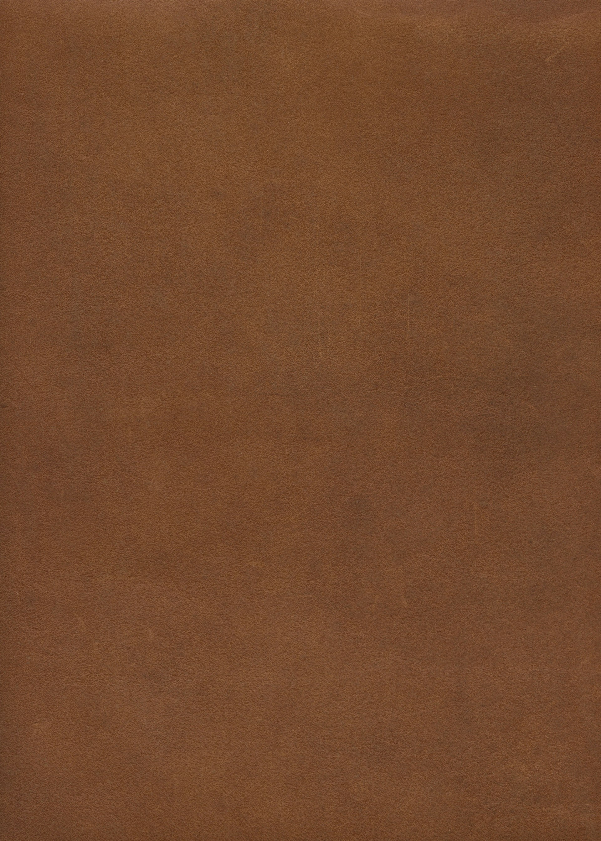 A plain, brown surface fills the image.