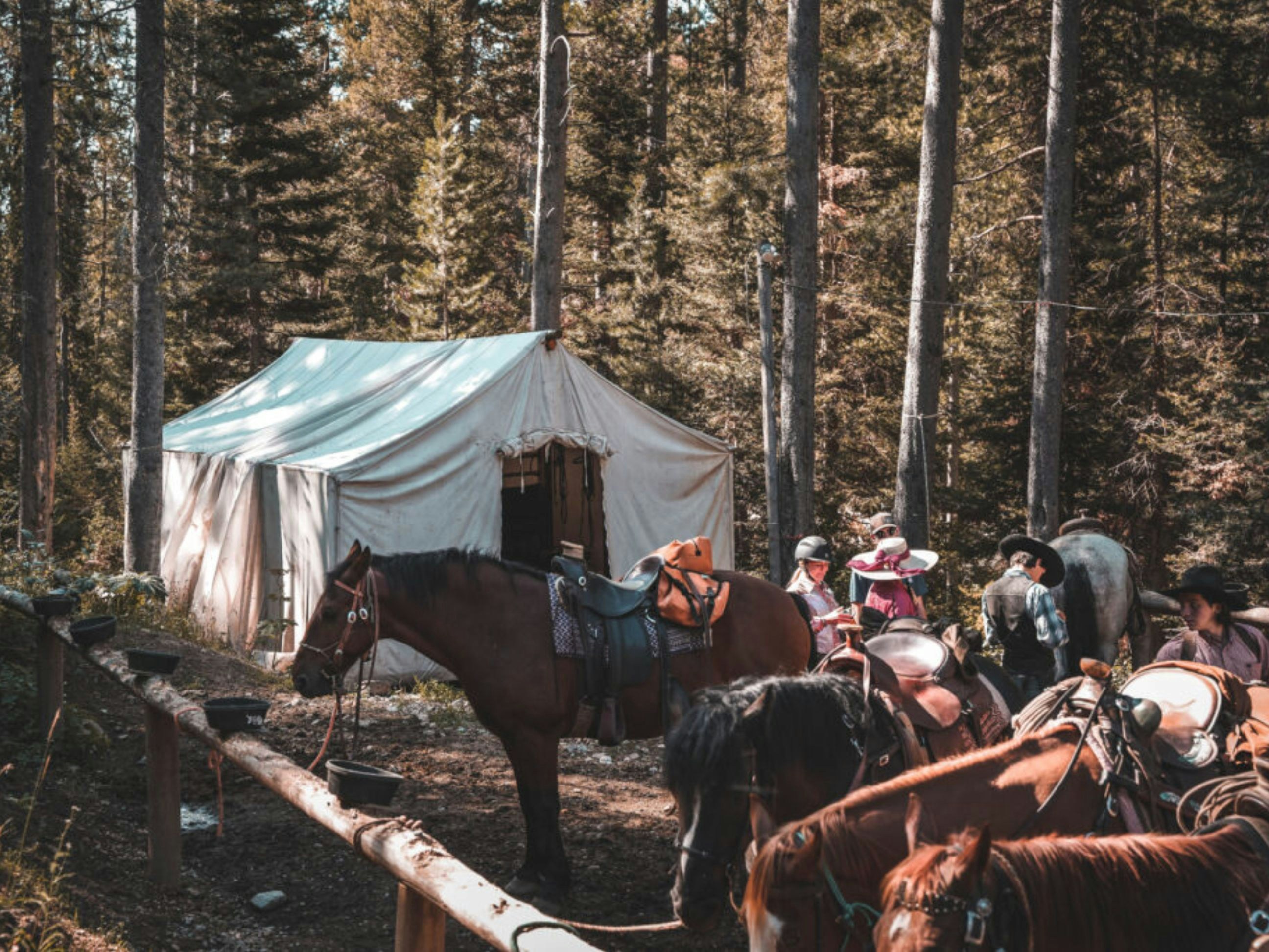 Photo by jacksonholeoutfitters