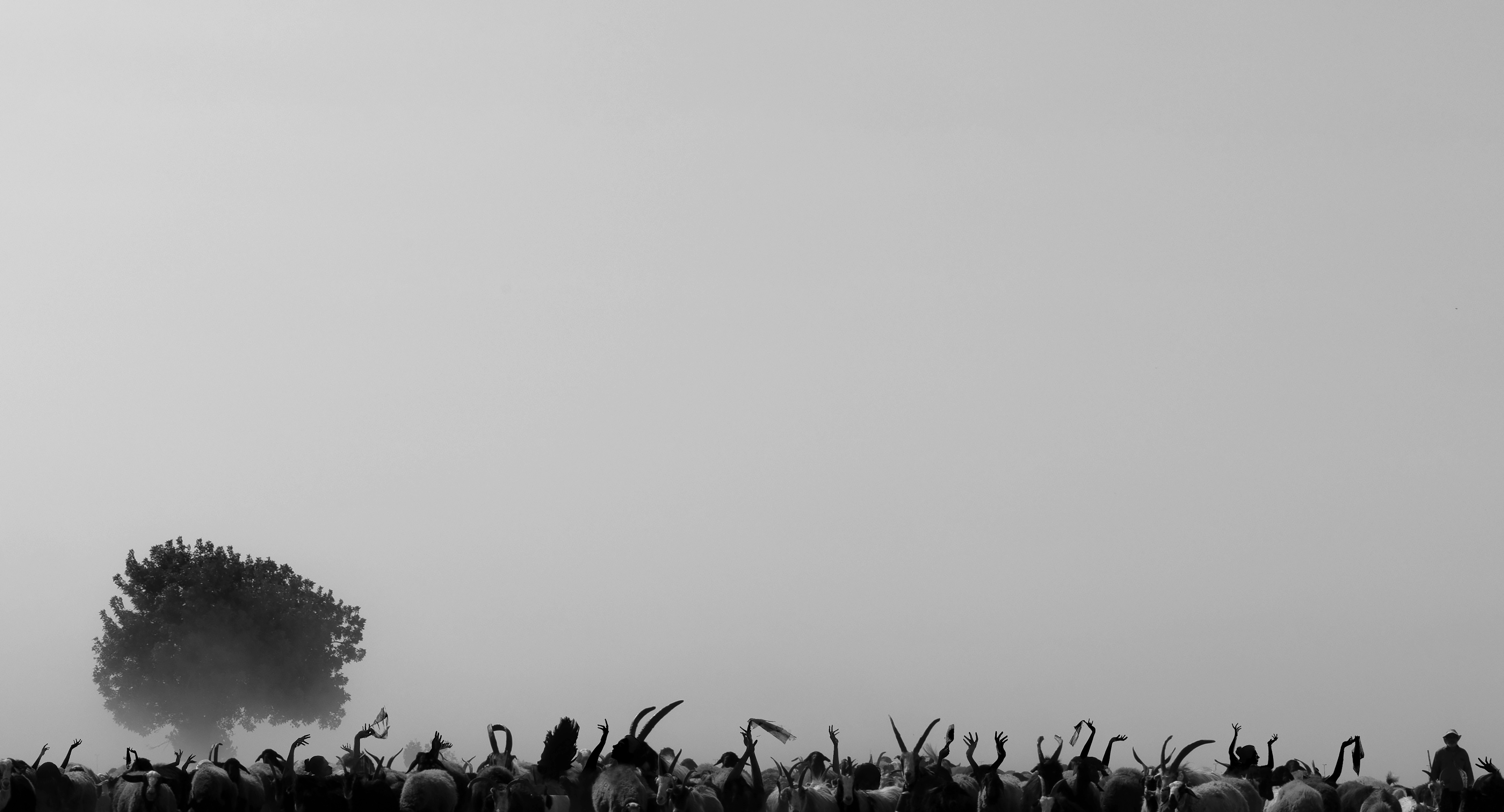 Un árbol se encuentra en medio de una multitud en un día brumoso.