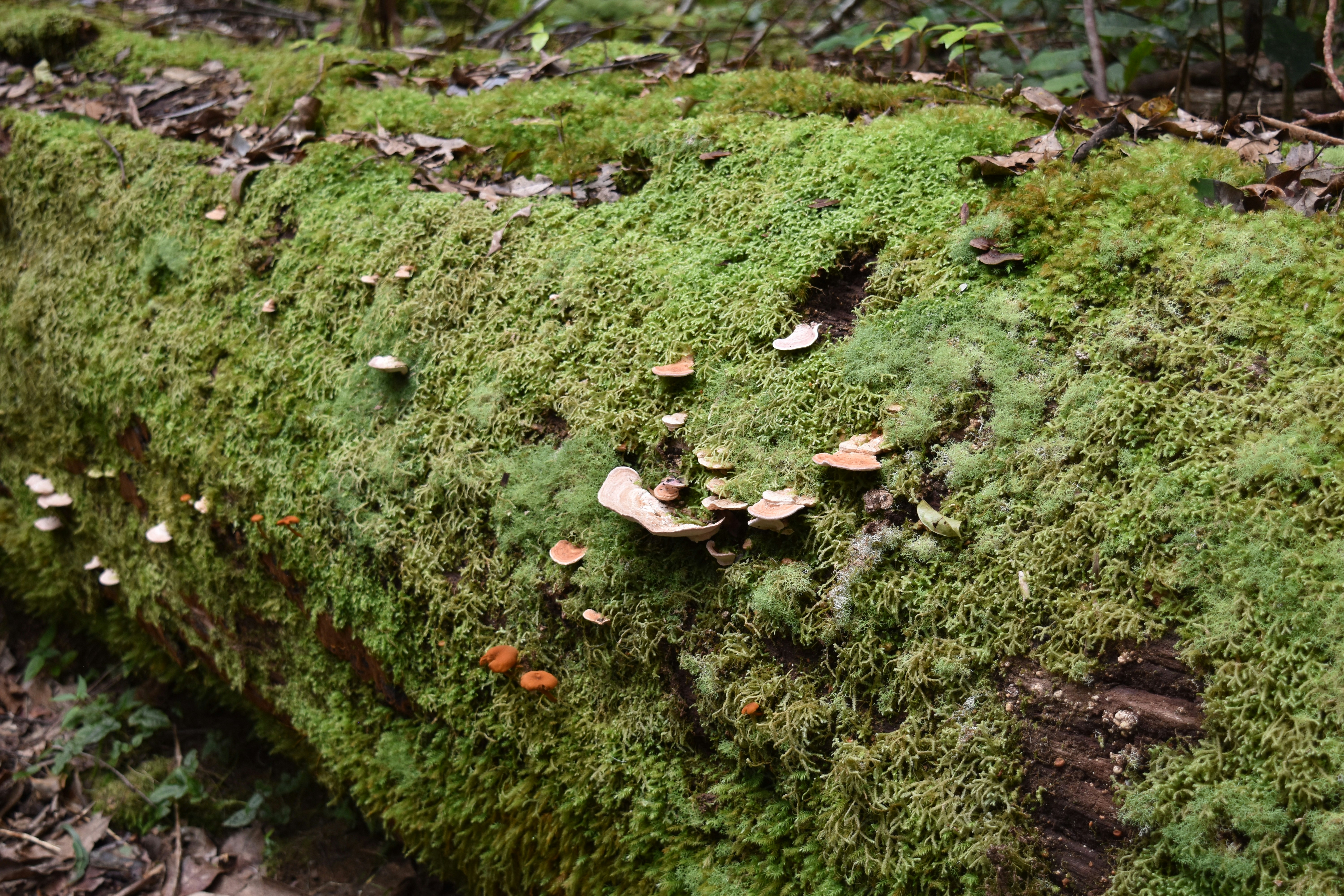 Photo by sara_a_sanchez