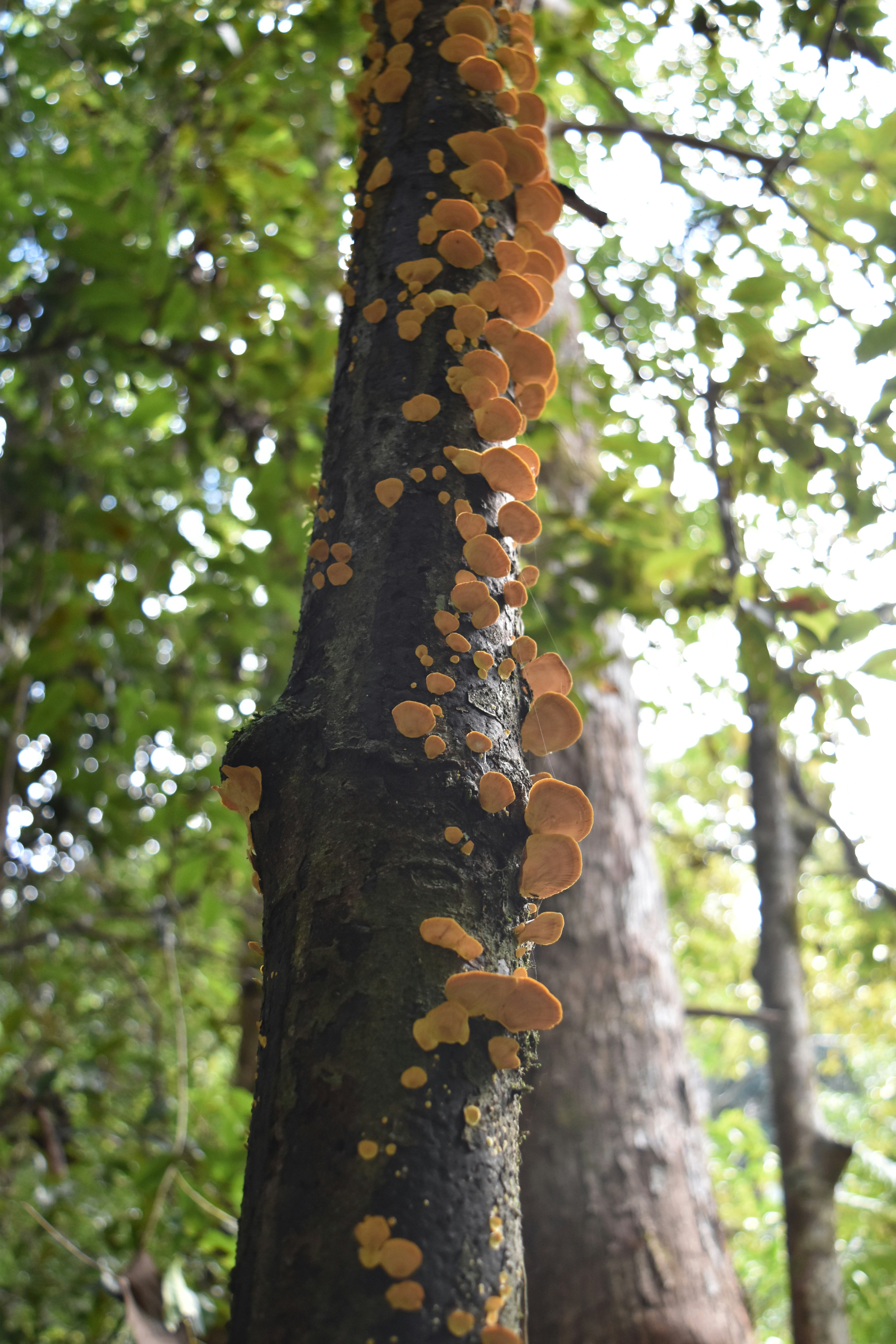 Photo by sara_a_sanchez