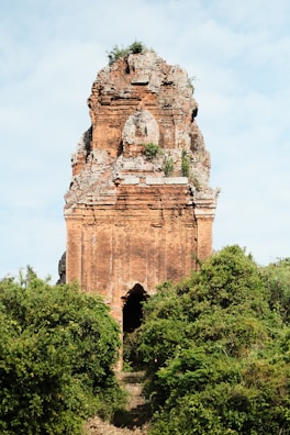 An ancient brick tower stands amidst greenery.