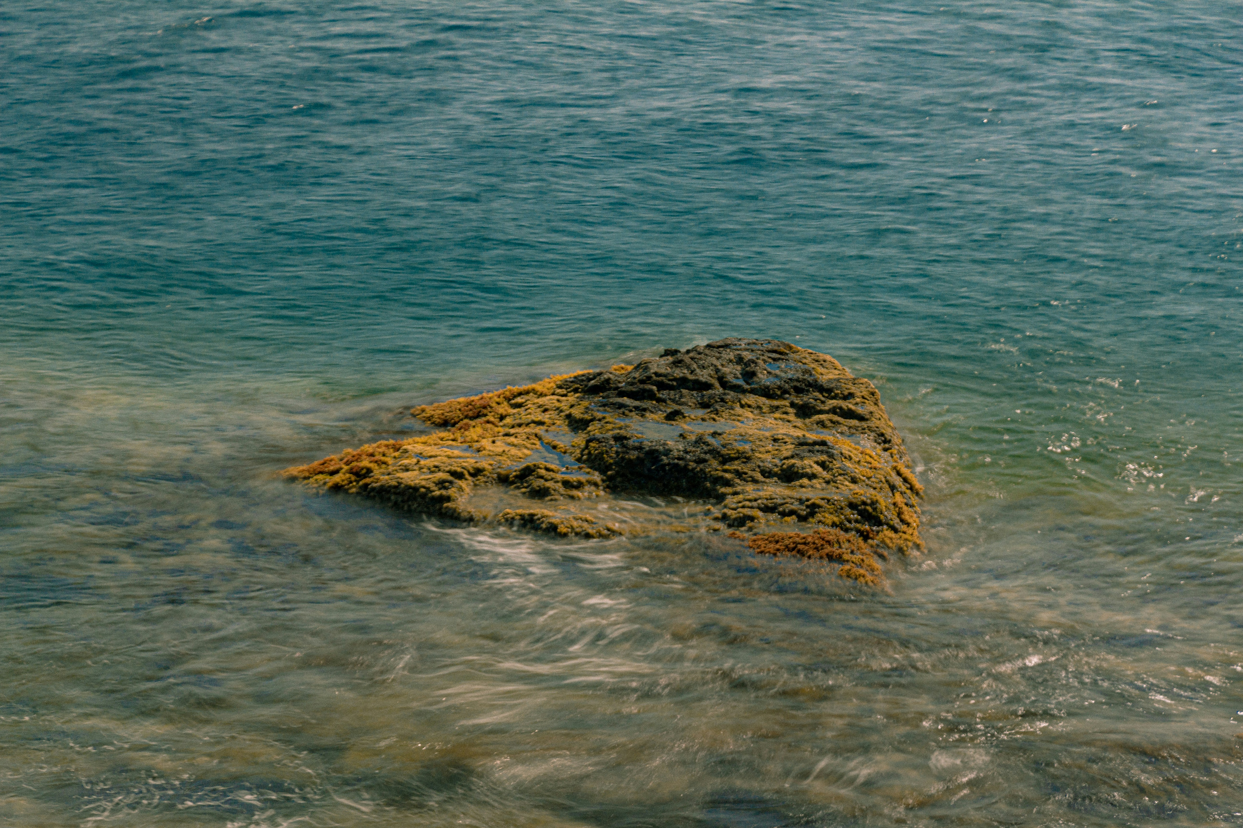 Photo by tomarquize