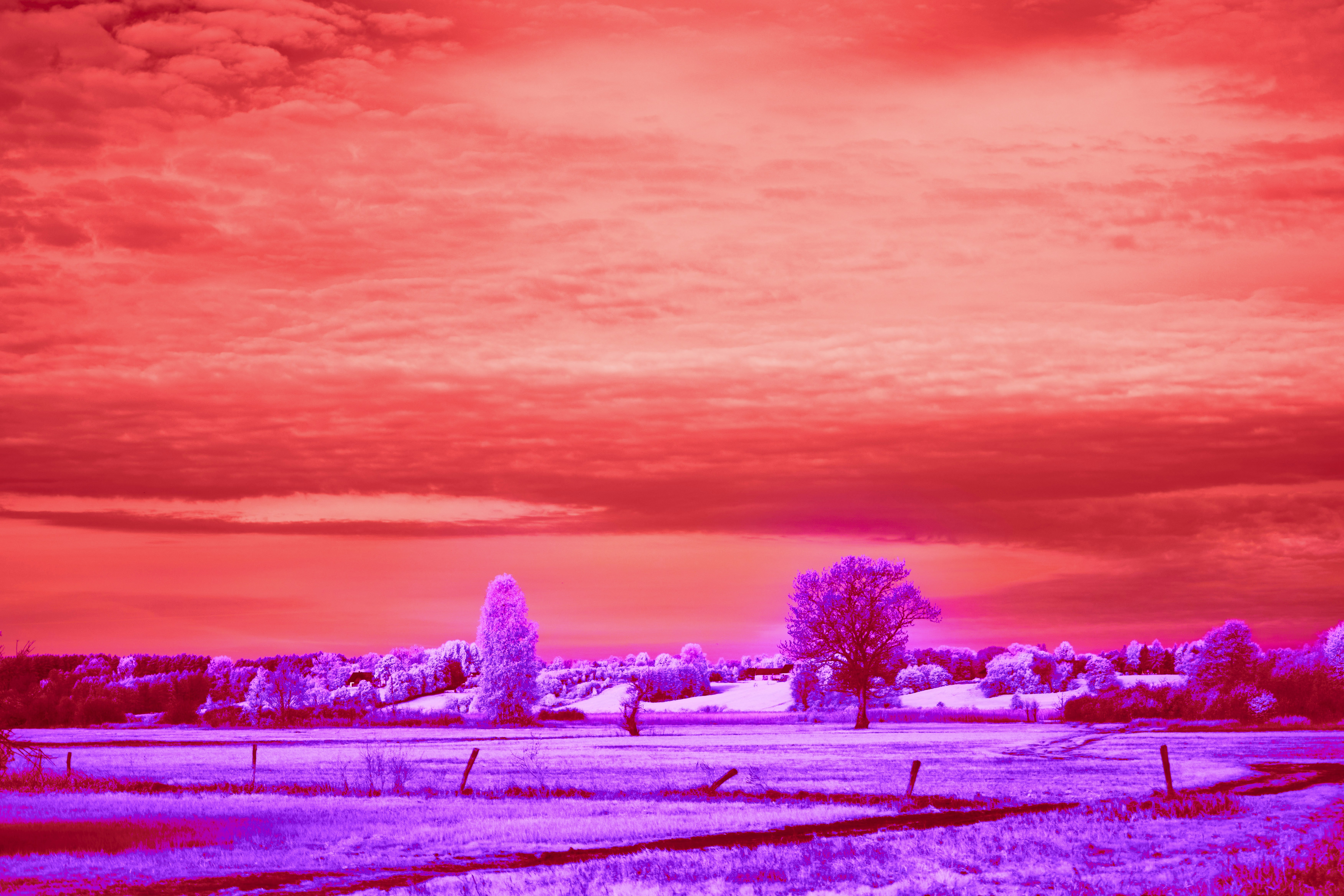 Photo by wolfgang_hasselmann