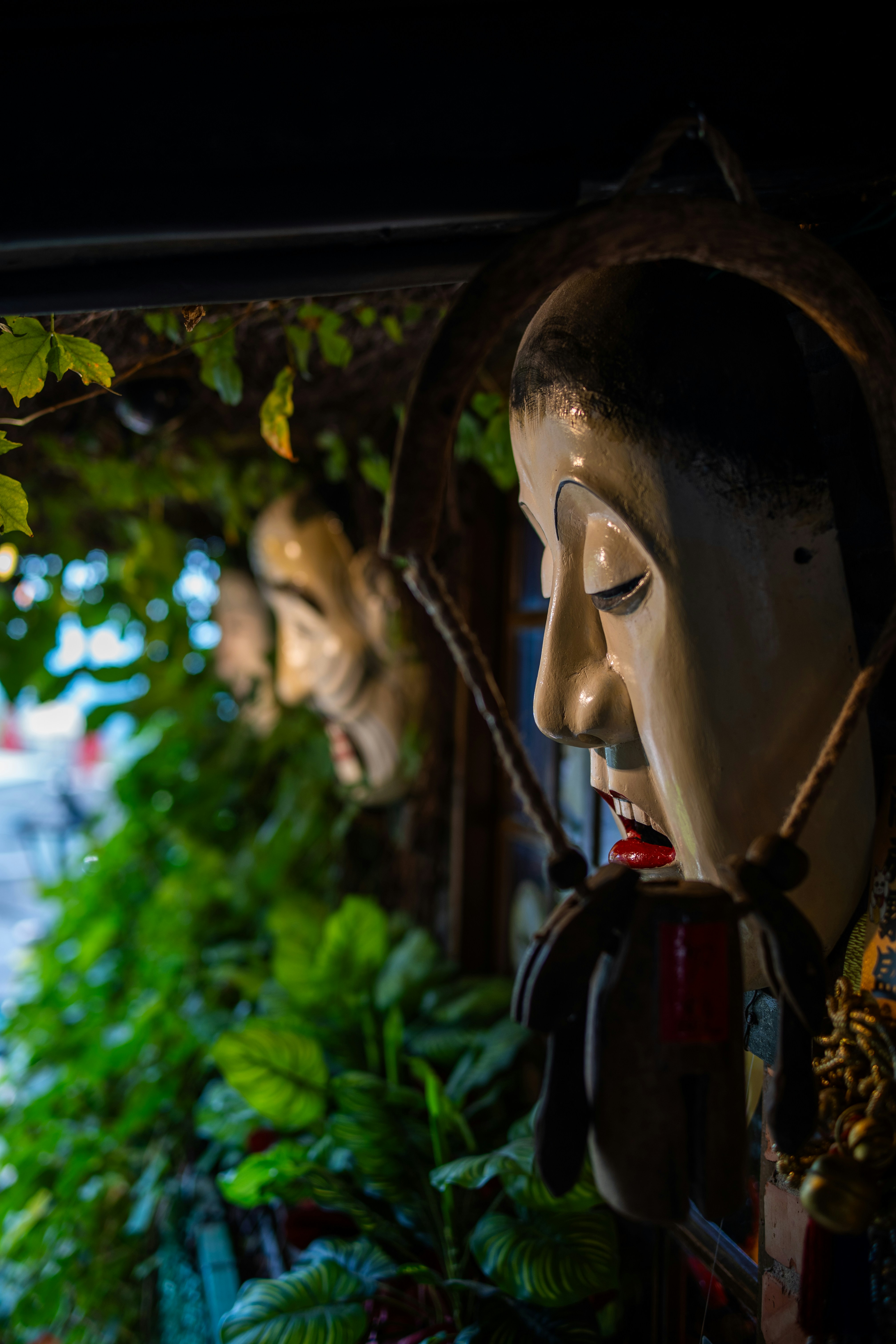 Photo by pafuxu