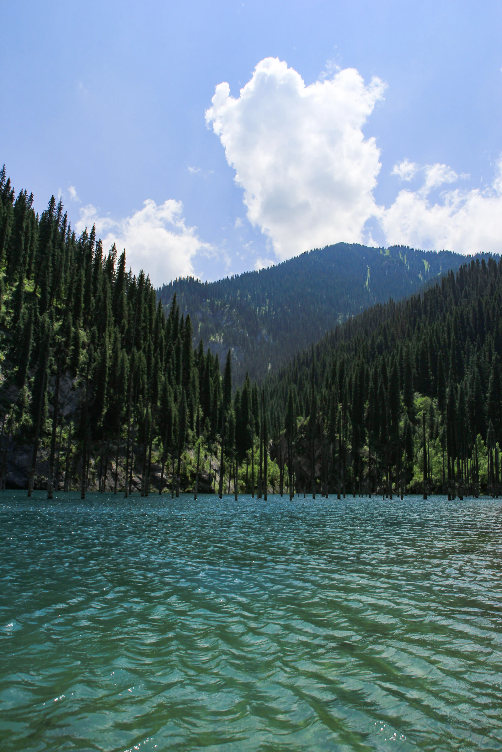 Astore Valley & Rama Lake: Gateway to Nanga Parbat and Deosai