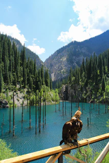 An eagle overlooks a stunning lake and mountains.