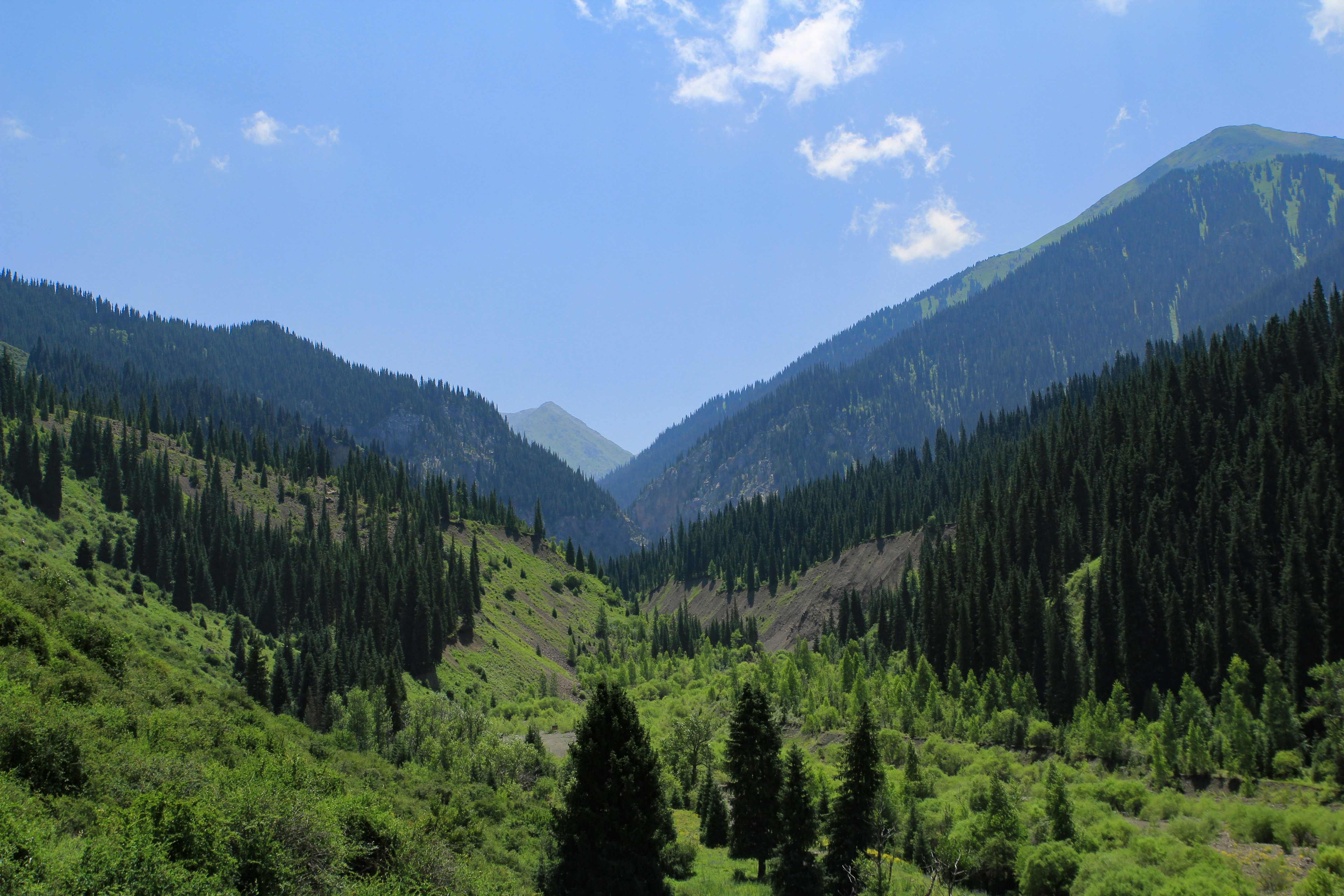 Photo by chocolate_milk_denmark