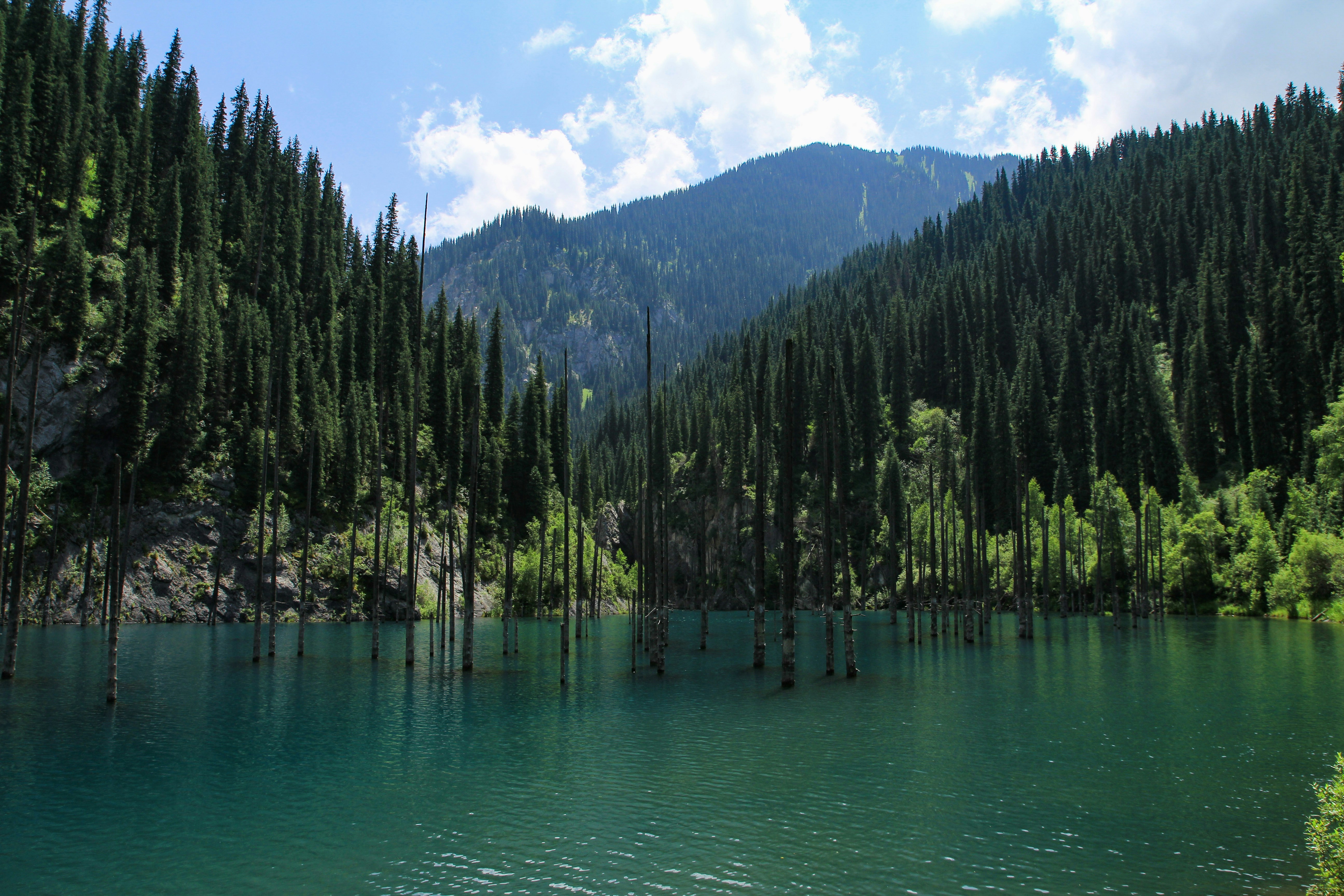 Photo by chocolate_milk_denmark