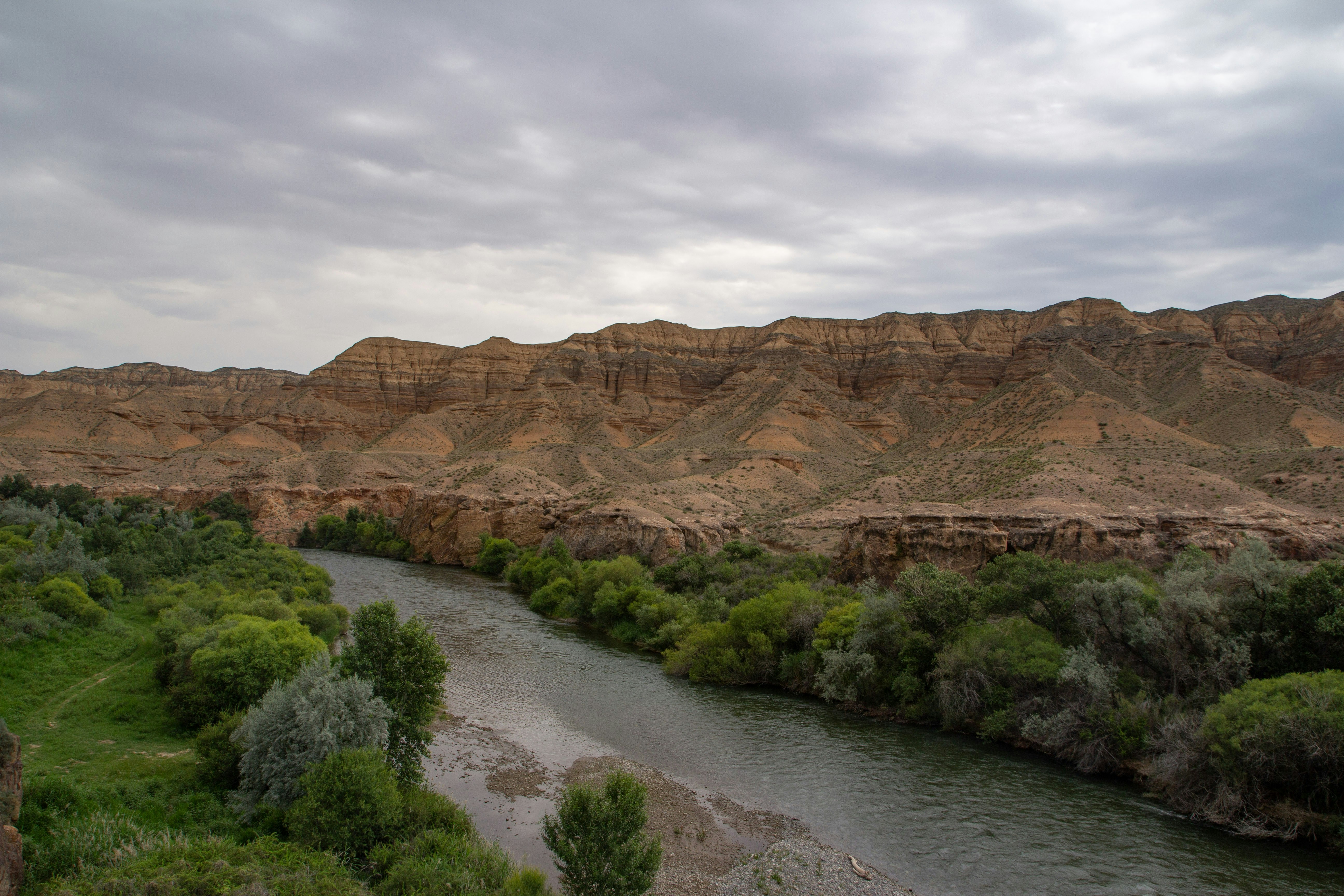 Photo by chocolate_milk_denmark