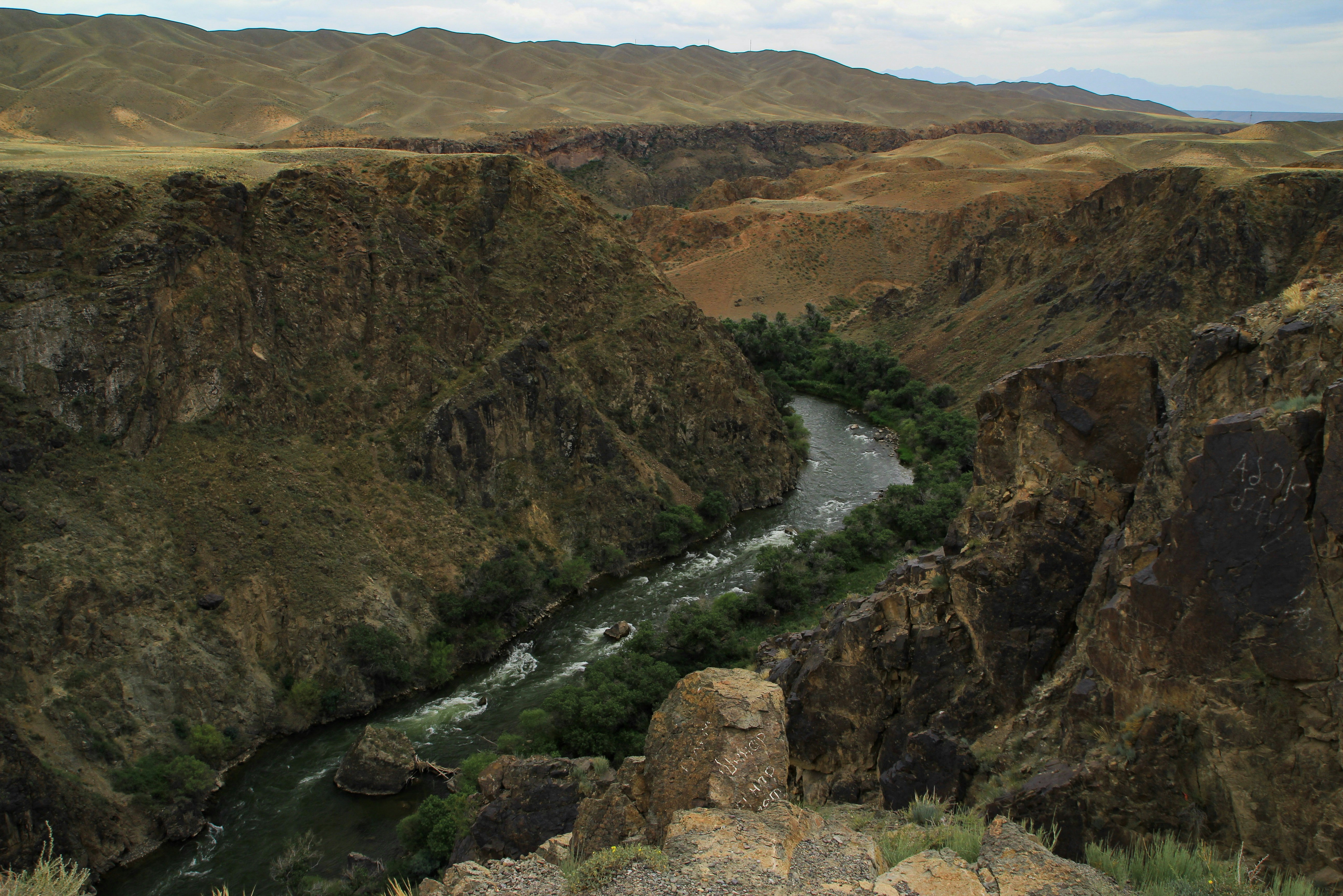 Photo by chocolate_milk_denmark