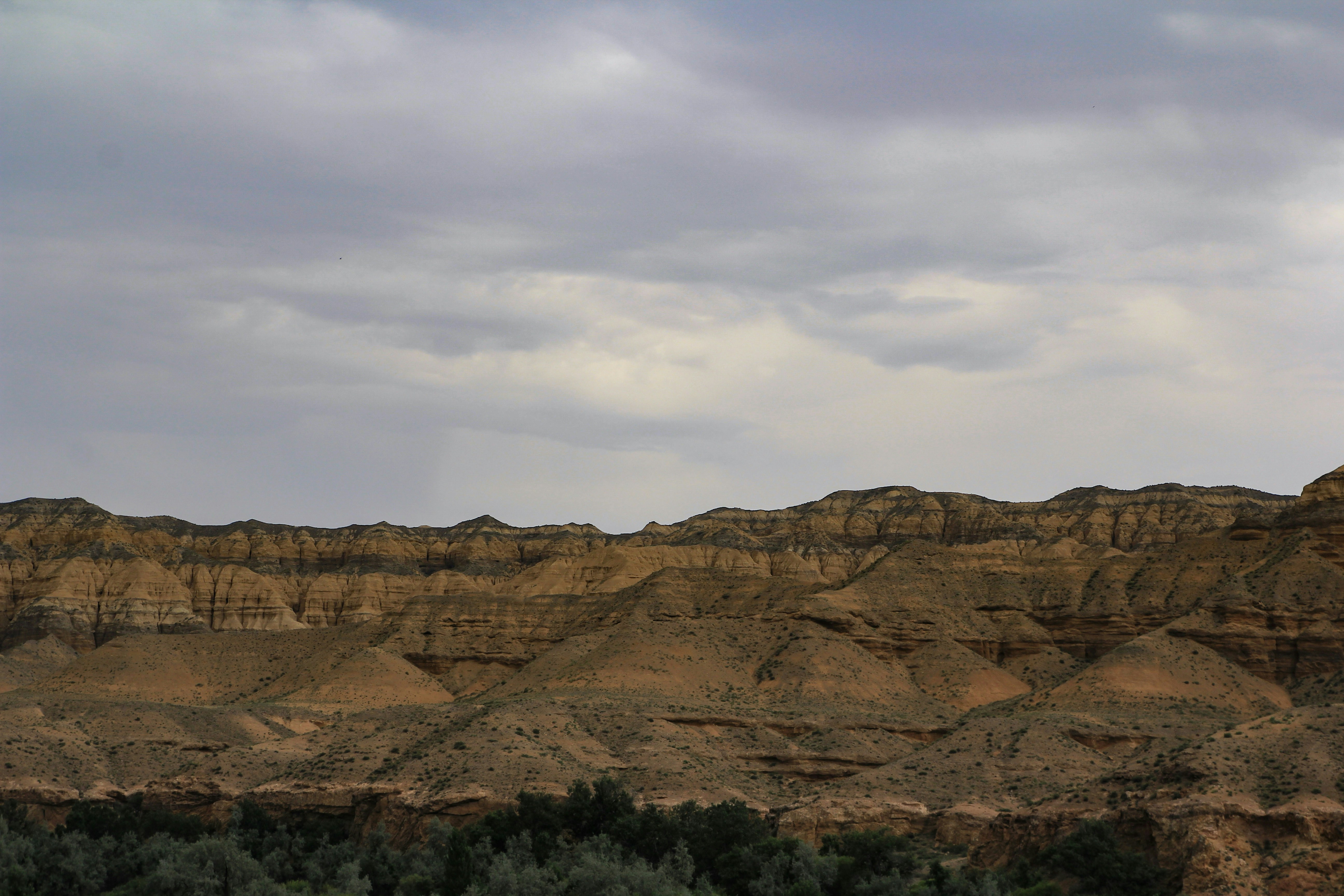 Photo by chocolate_milk_denmark