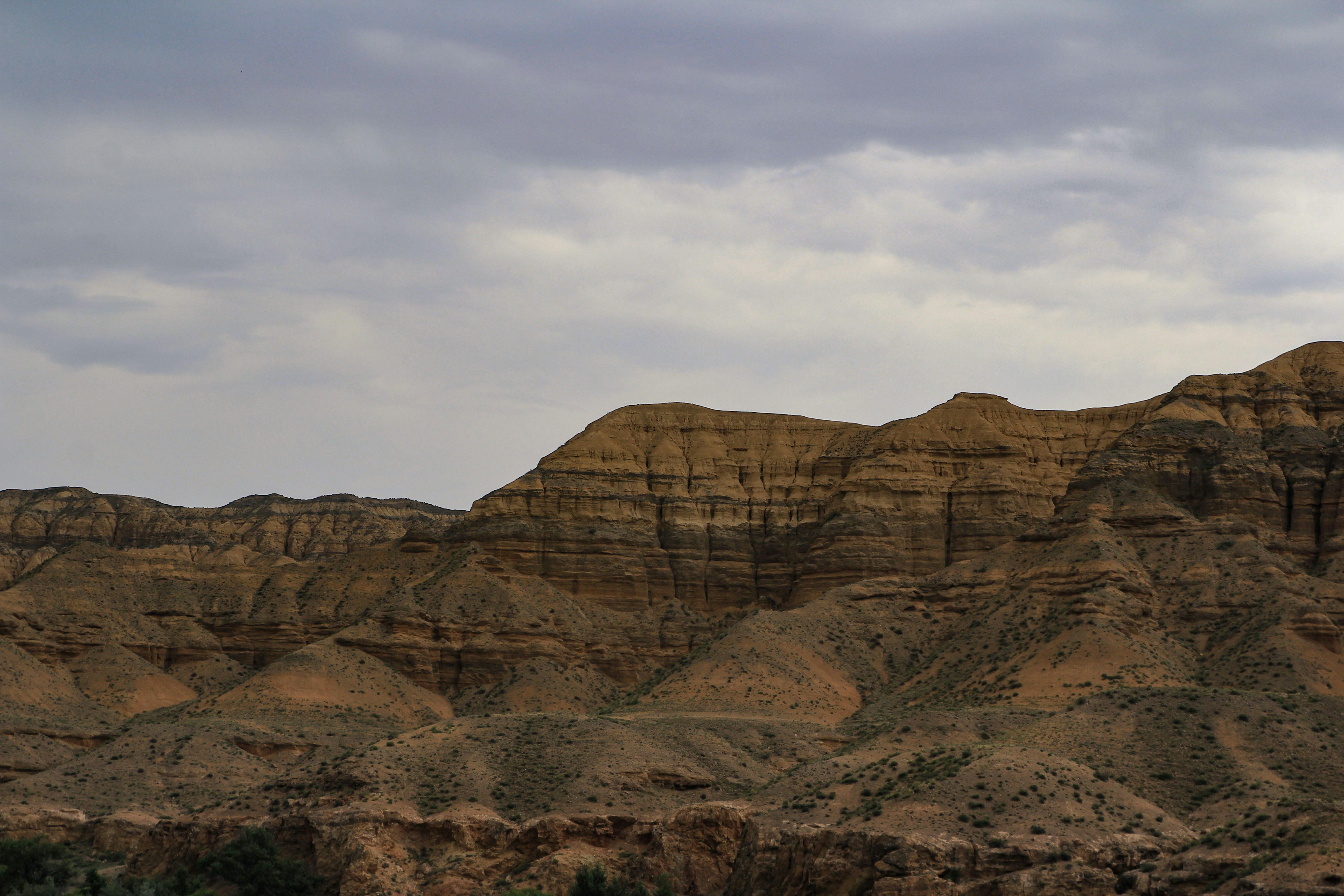 Photo by chocolate_milk_denmark