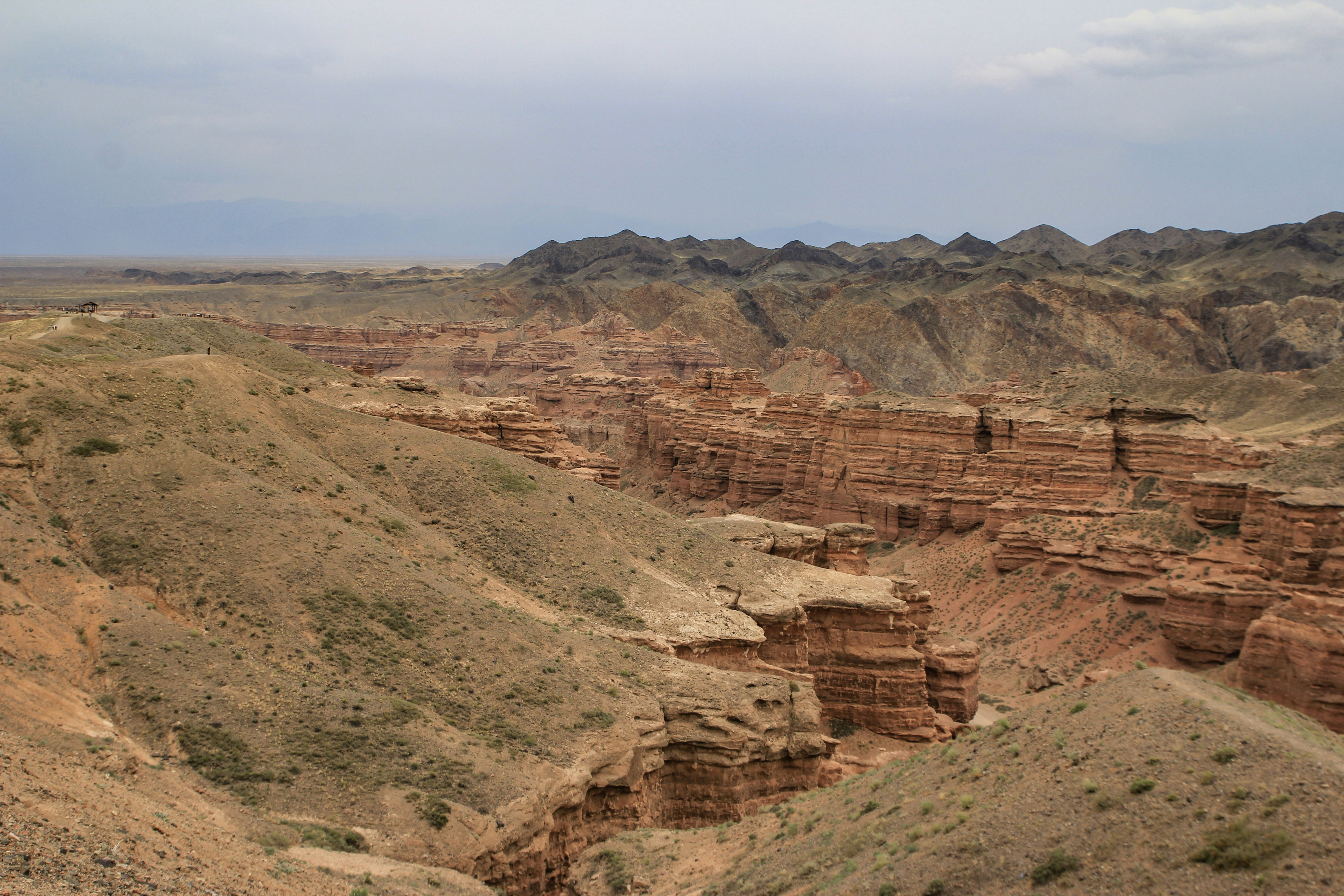 Photo by chocolate_milk_denmark