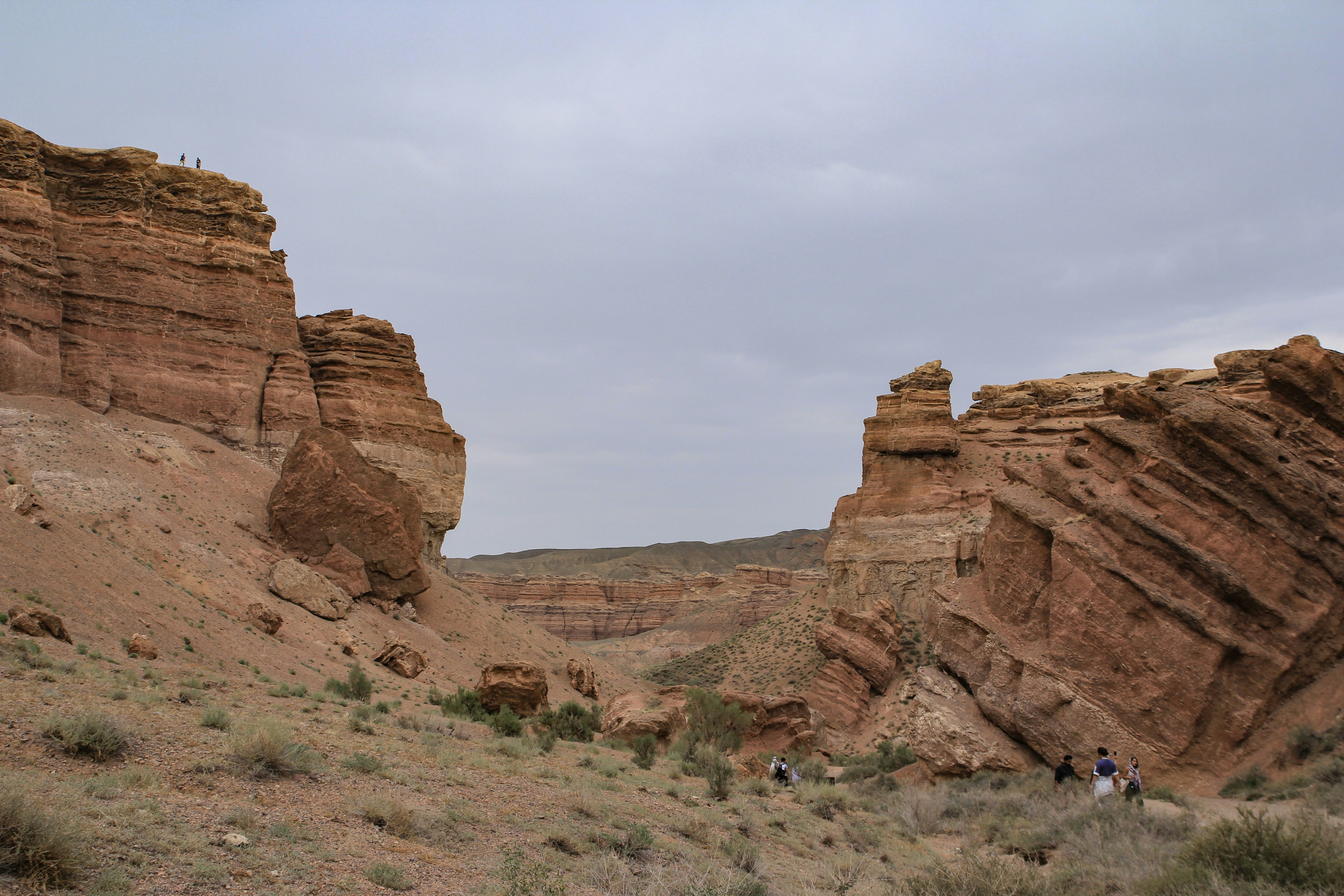 Photo by chocolate_milk_denmark