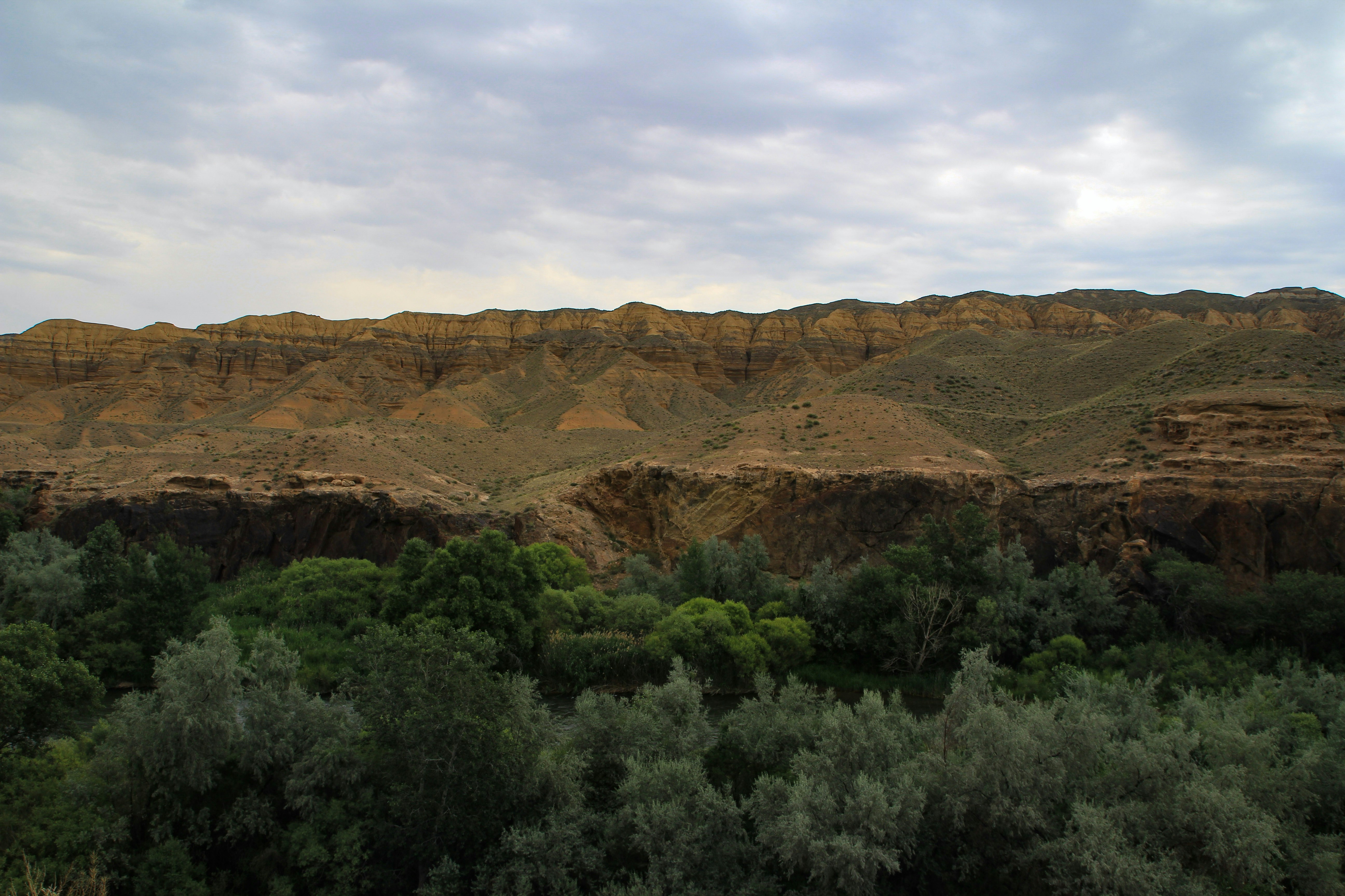 Photo by chocolate_milk_denmark