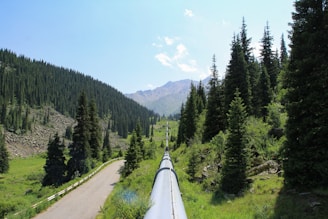 A pipeline runs through a forested mountain landscape.