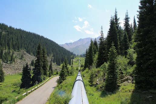 A pipeline runs through a forested mountain landscape.