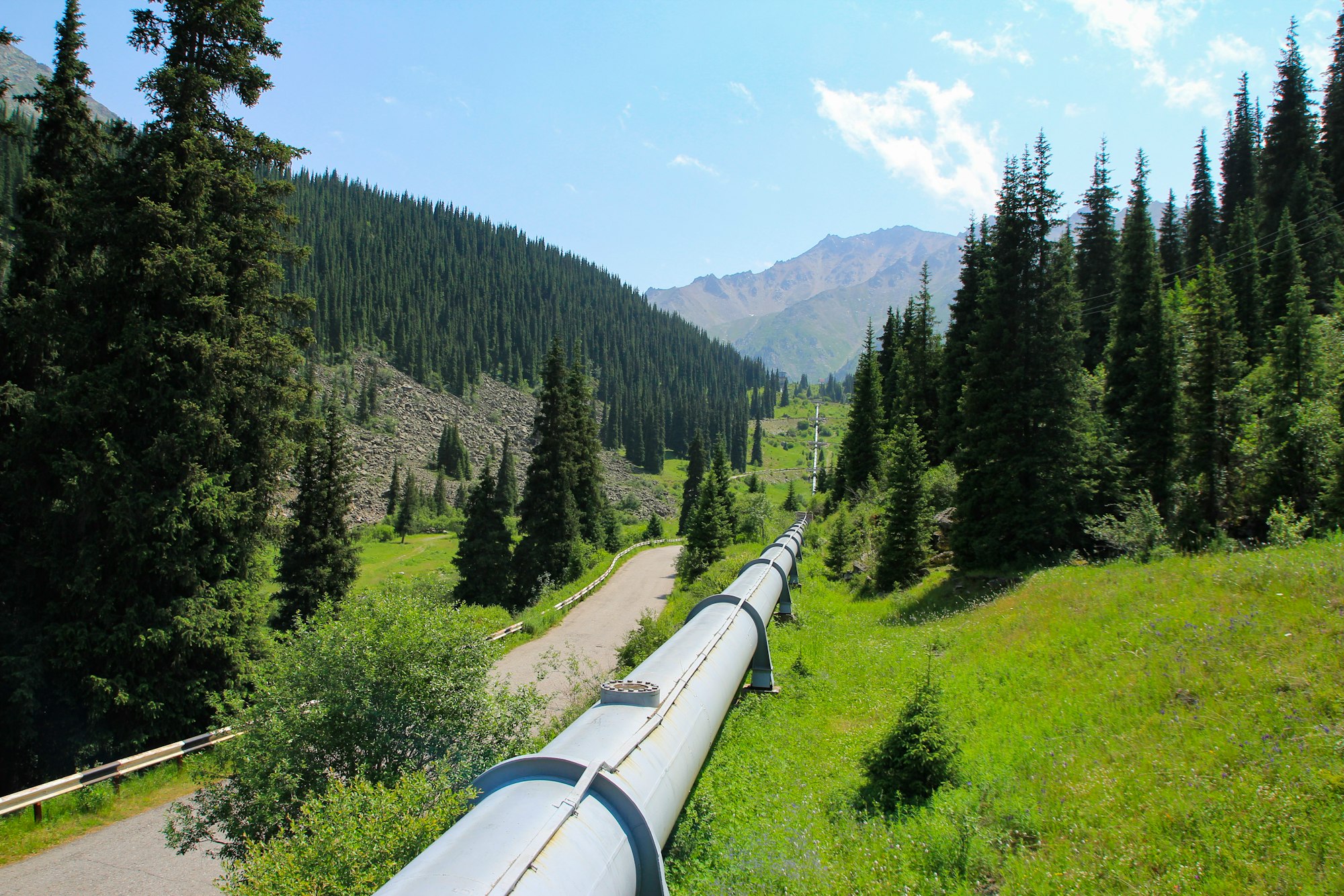 A pipeline runs through a lush, green mountain.