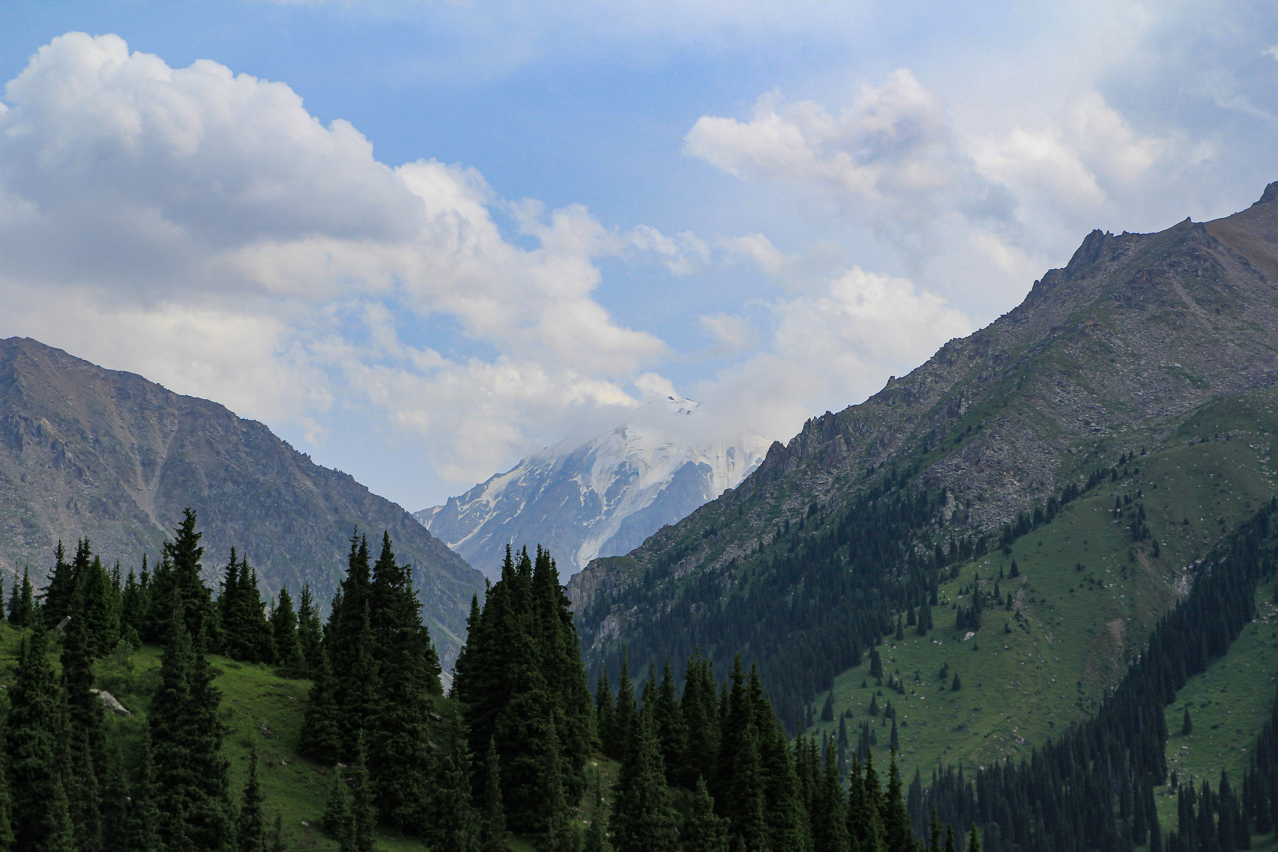 Photo by chocolate_milk_denmark