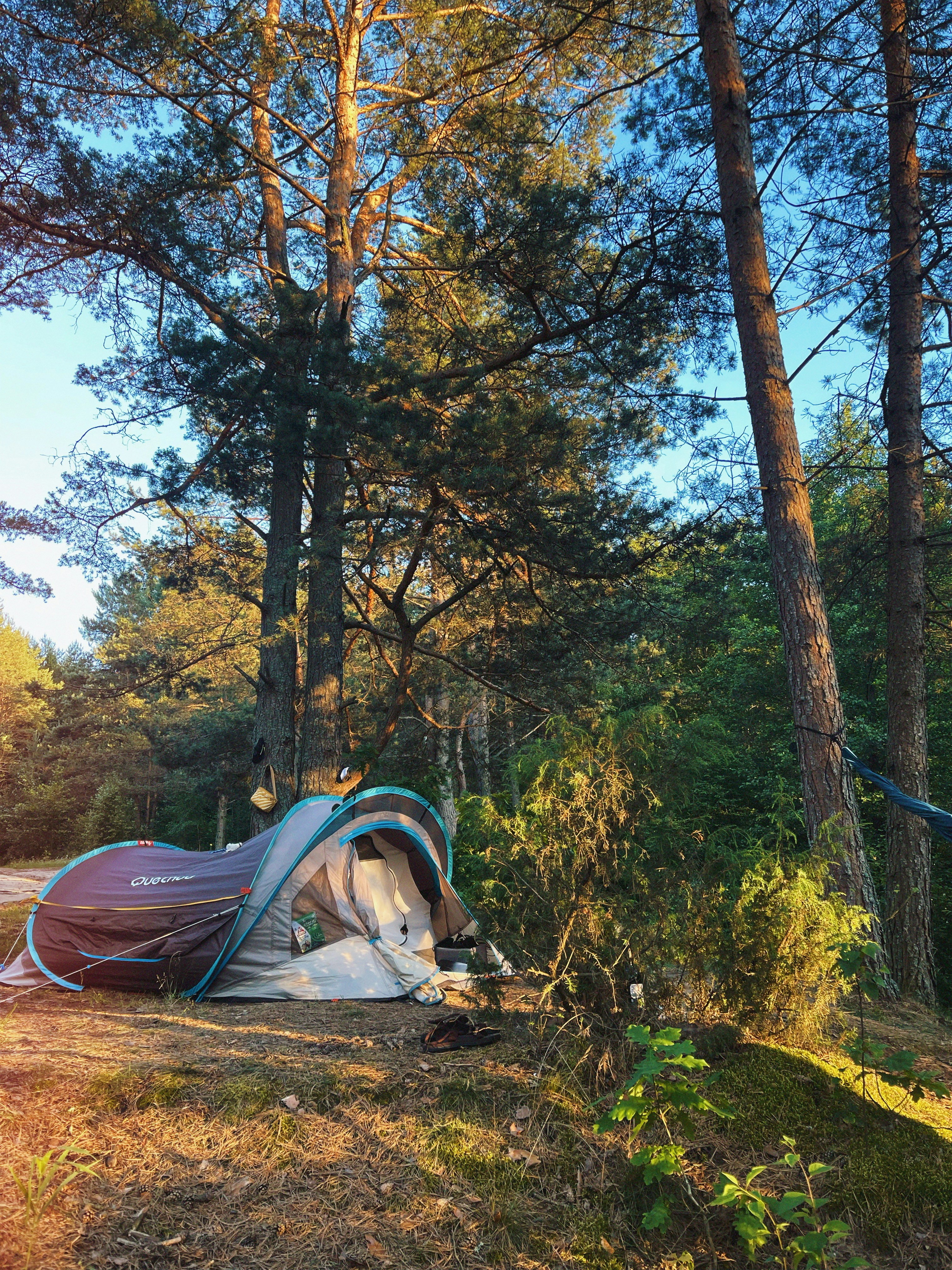 Photo by inna_lobacheva