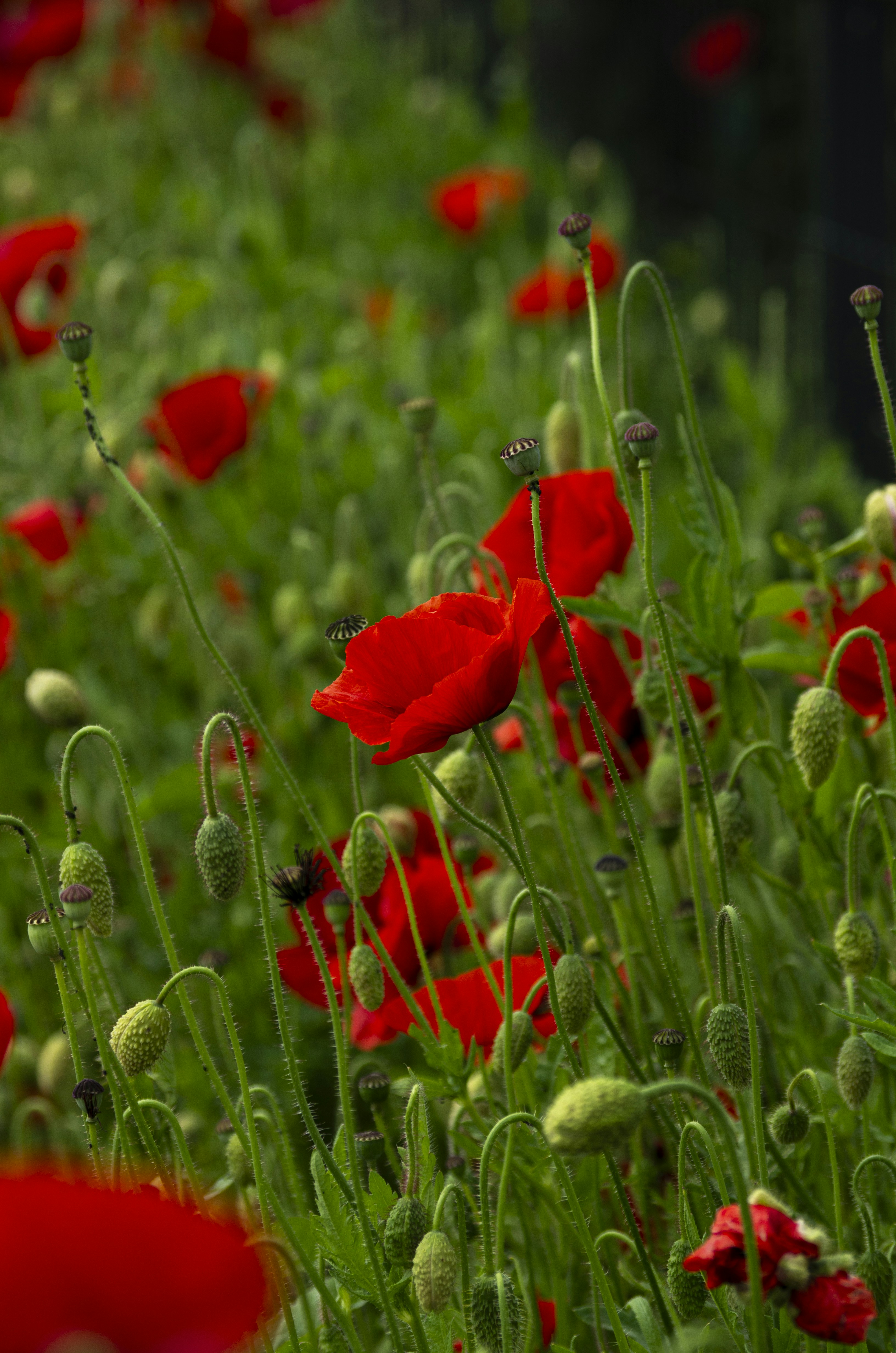 Photo by inga_images