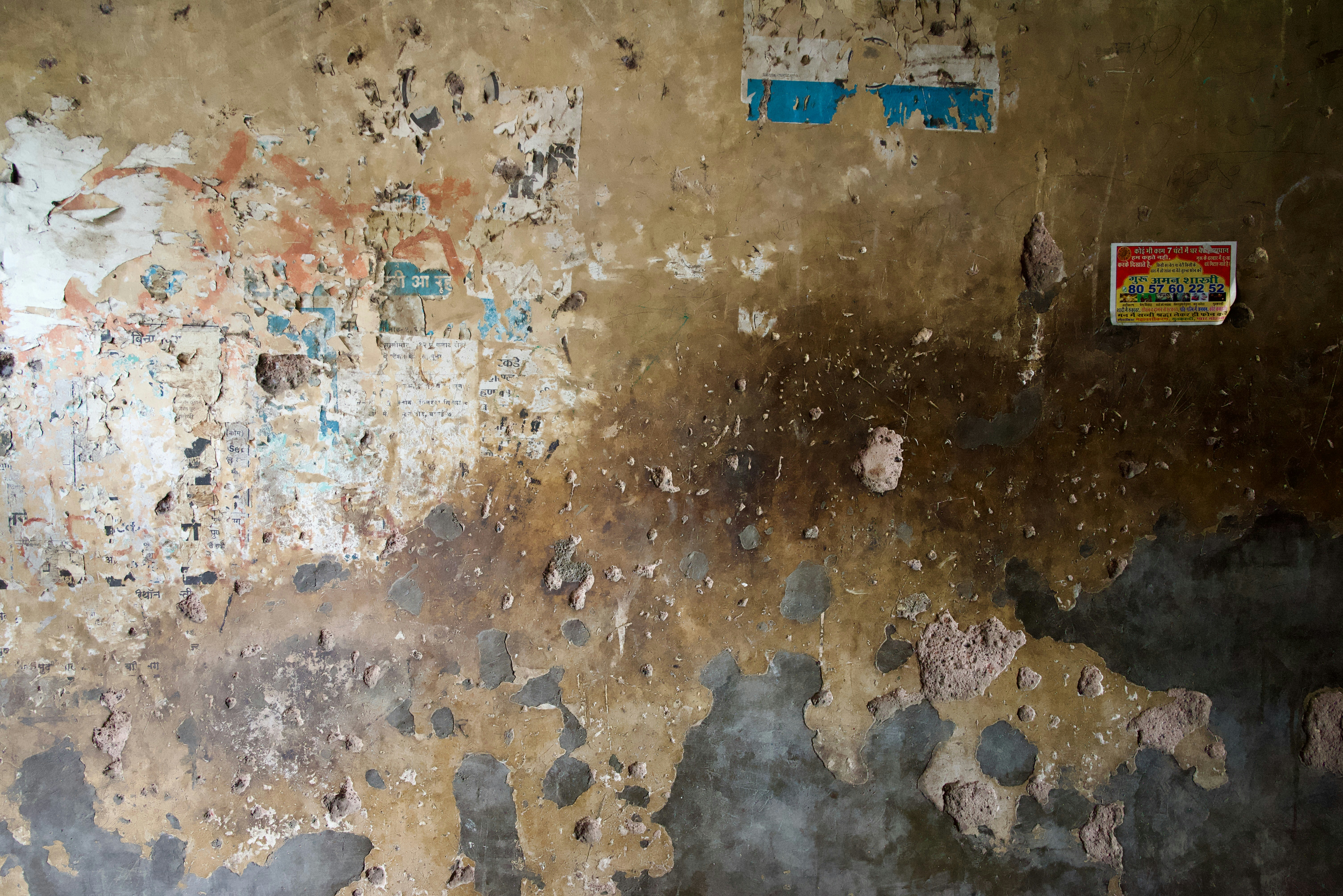 Photo by saadahmad_umn