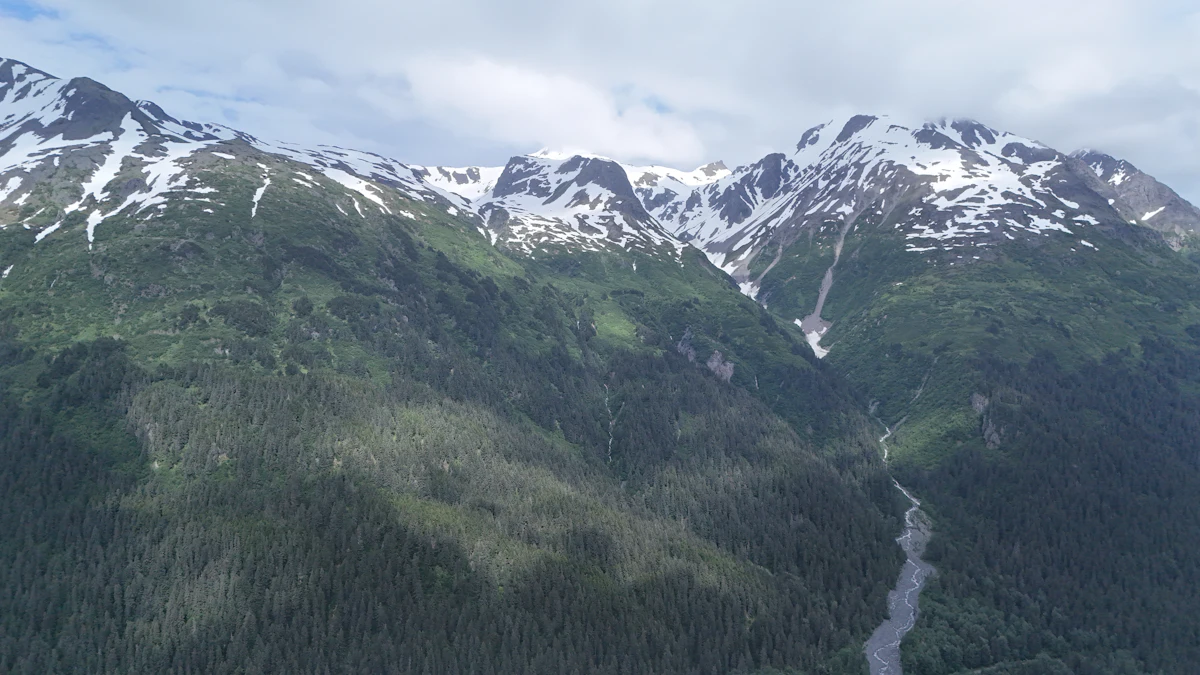 Snow-streaked peaks above a forested valley along the Seward Highway