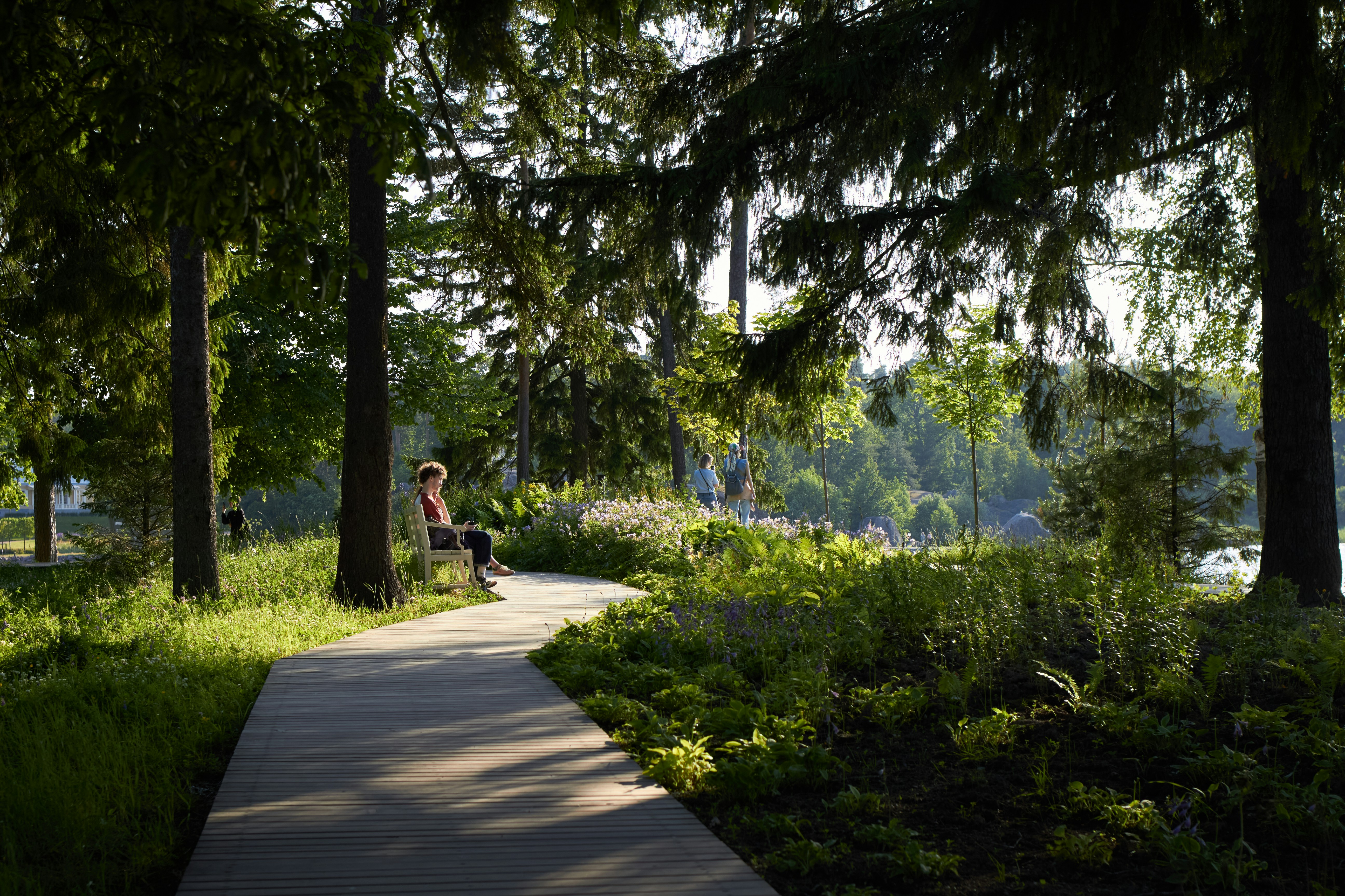Skeater Park
