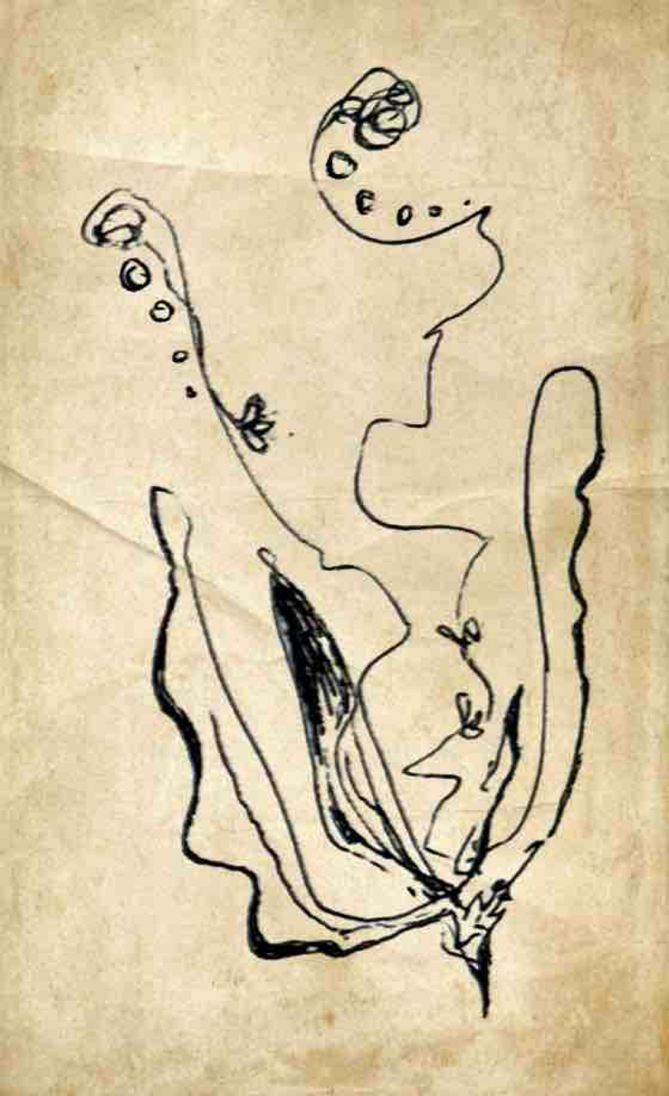 An abstract drawing with organic shapes.